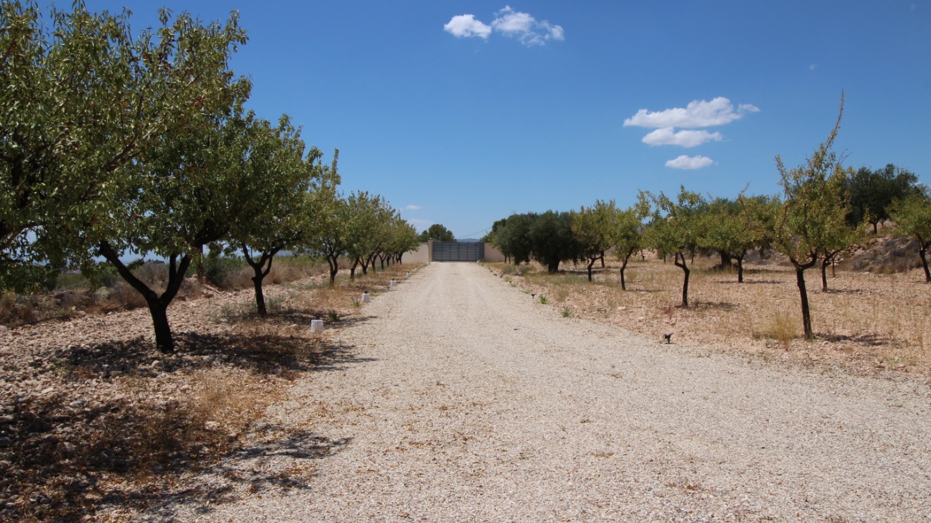 Revente - Villa Individuelle -
Macisvenda