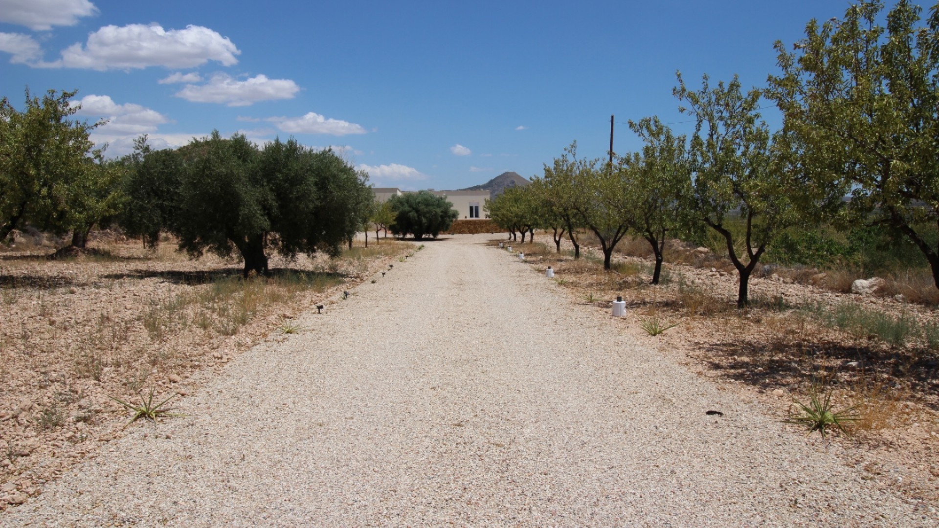 Revente - Villa Individuelle -
Macisvenda