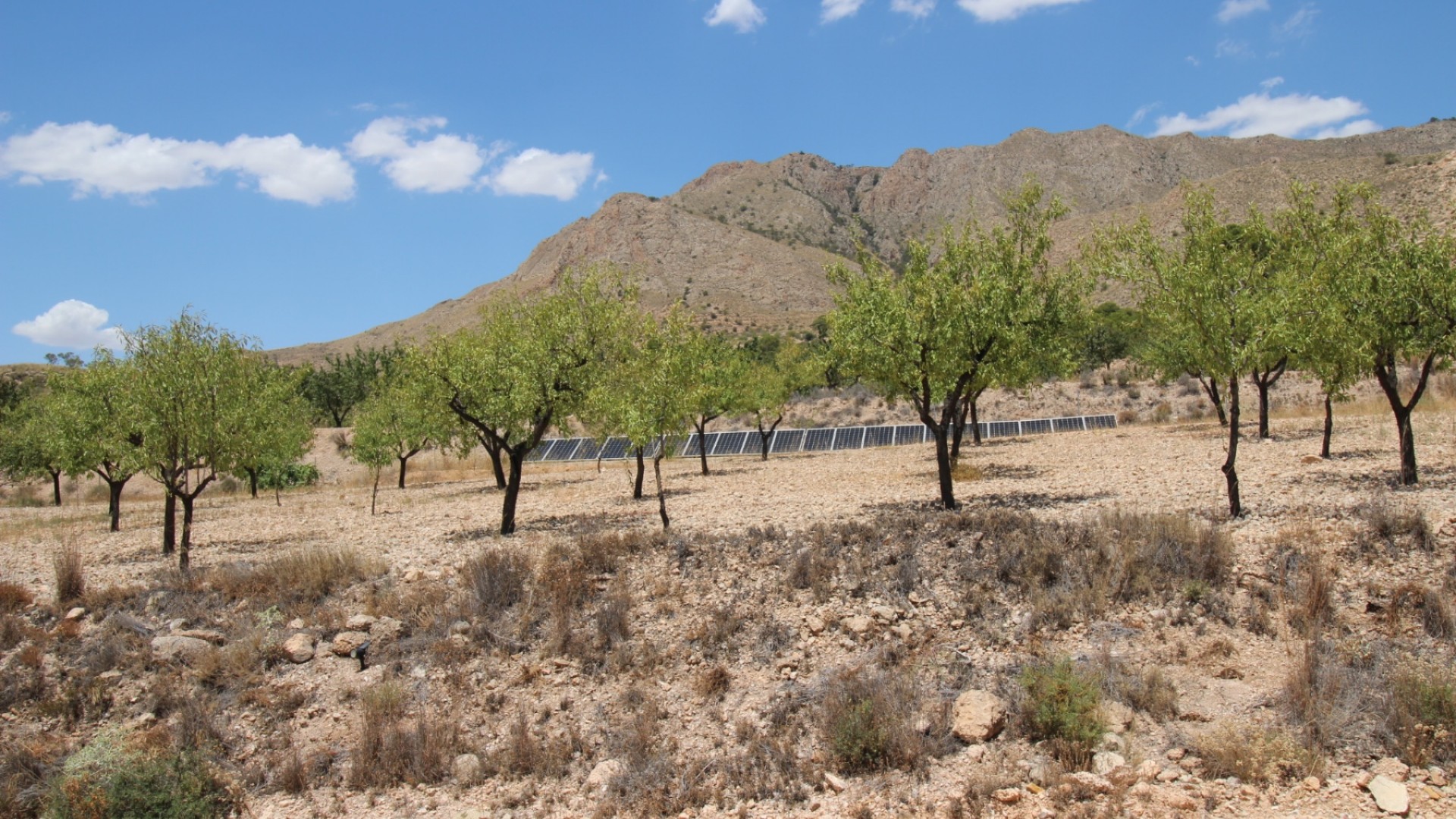 Revente - Villa Individuelle -
Macisvenda
