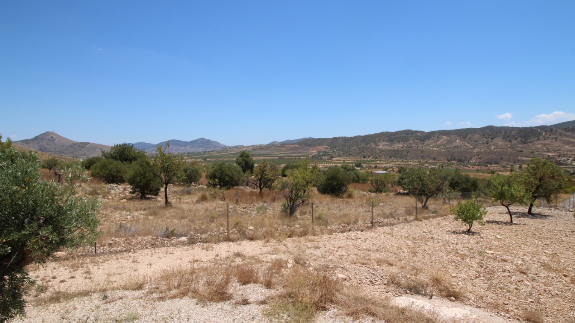 Revente - Villa Individuelle -
Macisvenda