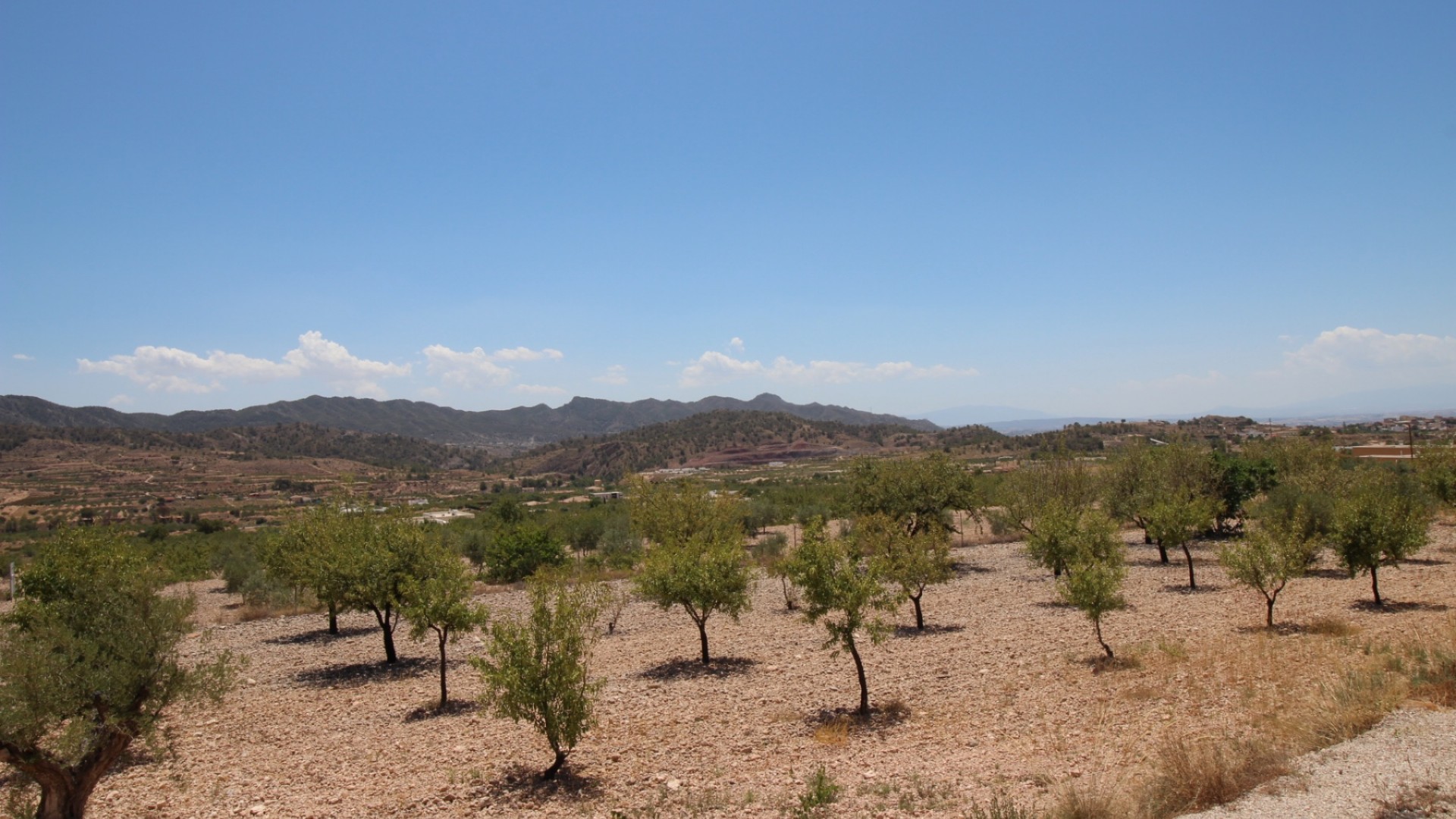 Revente - Villa Individuelle -
Macisvenda