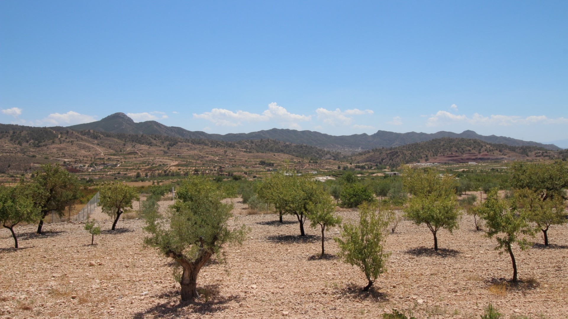 Revente - Villa Individuelle -
Macisvenda