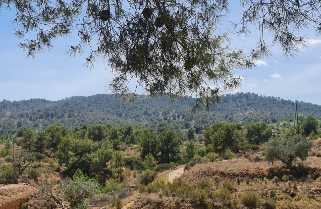 Revente - Villa Individuelle -
Monóvar - Inland