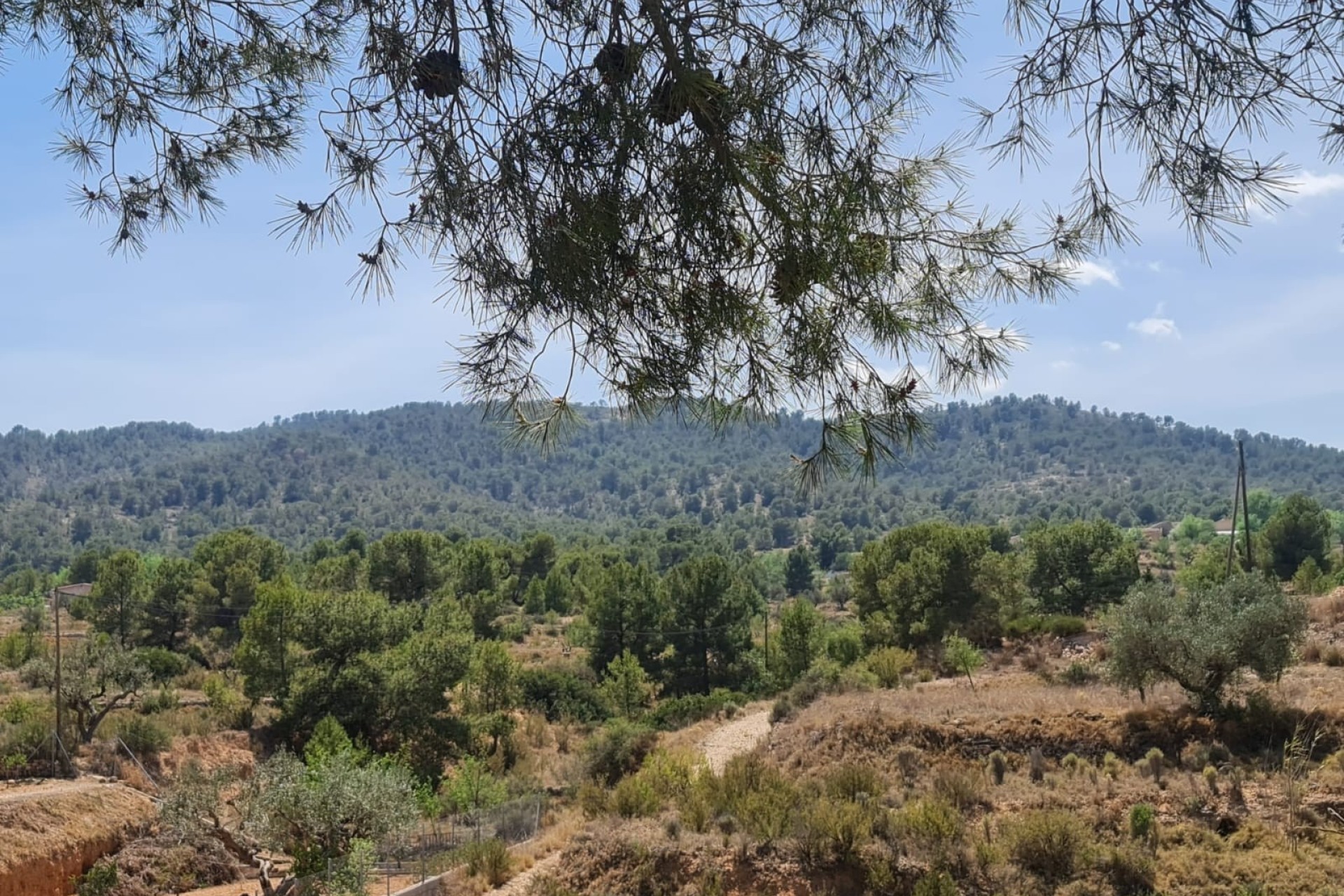 Revente - Villa Individuelle -
Monóvar - Inland