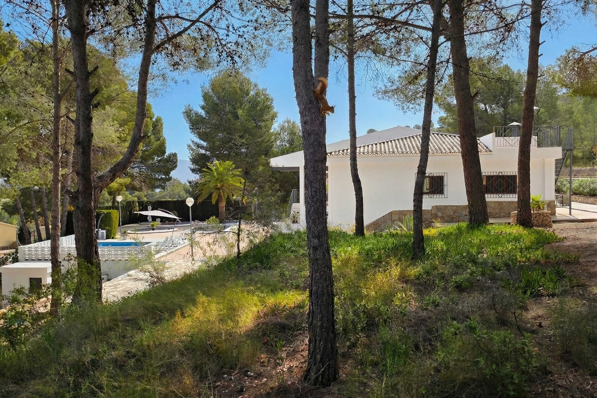 Revente - Villa Individuelle -
Monóvar - Monovar