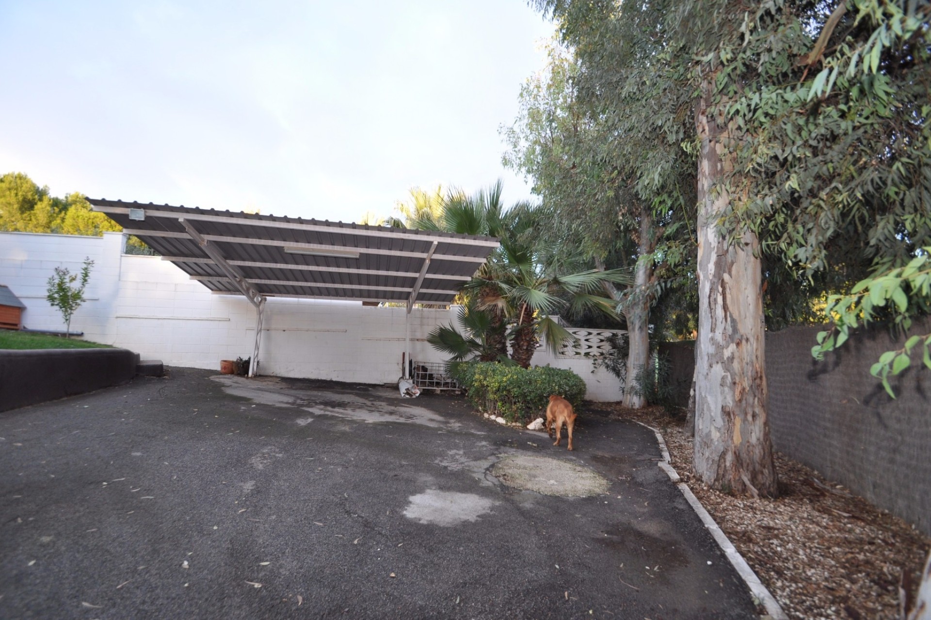 Revente - Villa Individuelle -
Monóvar/Monóver - Inland