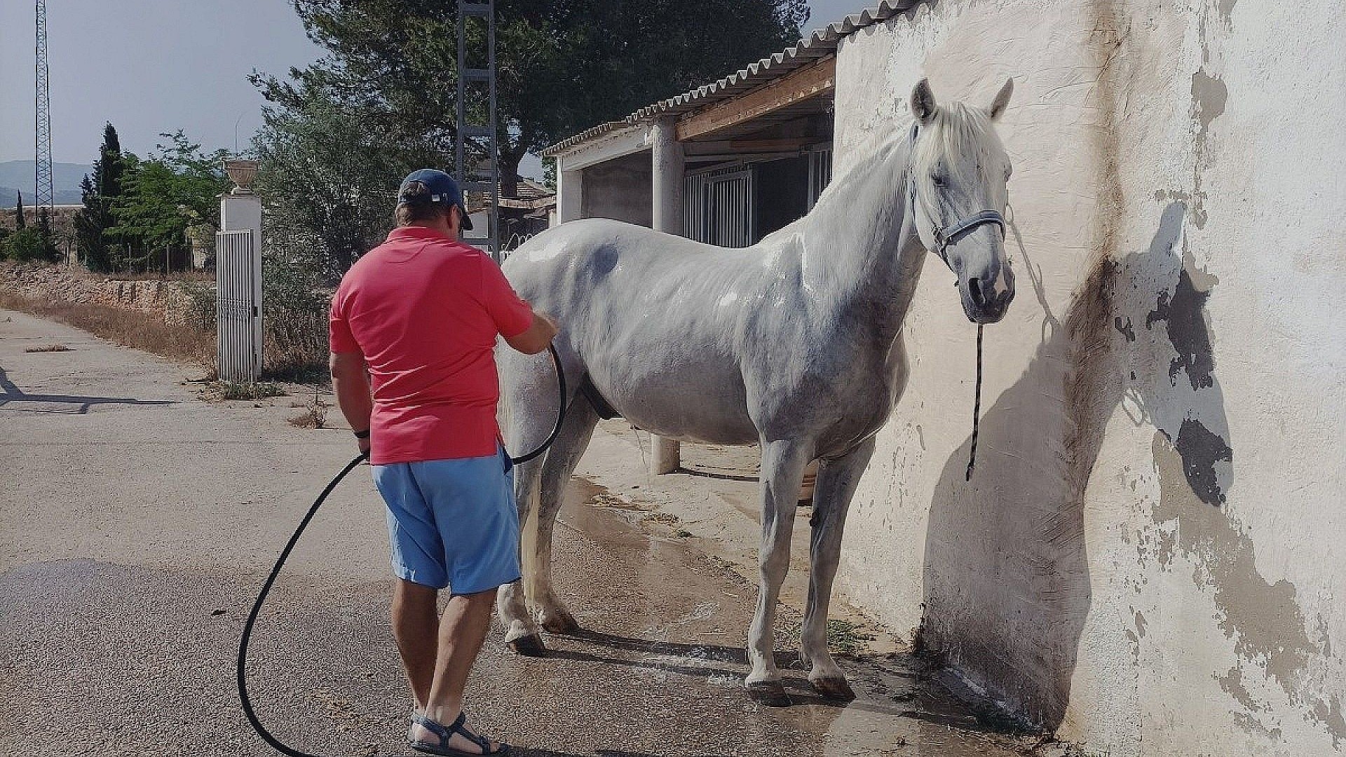 Revente - Villa Individuelle -
Monóvar