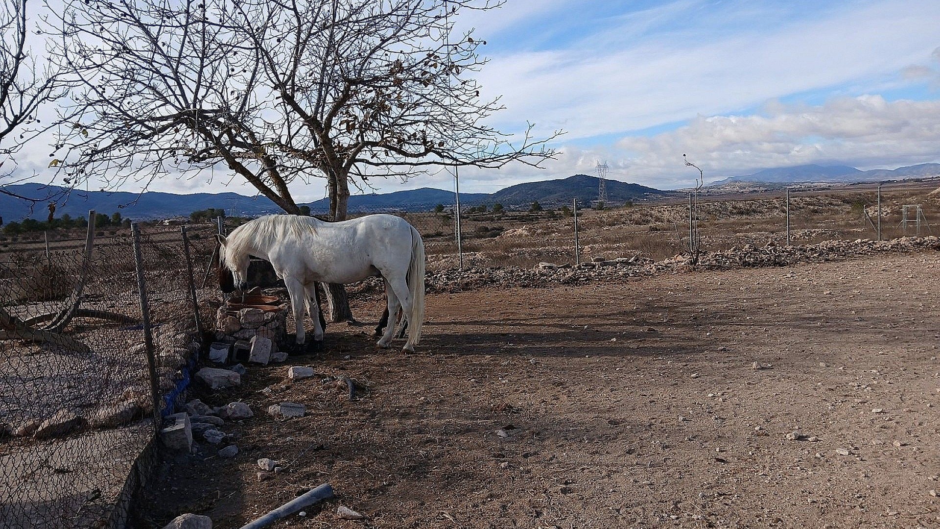 Revente - Villa Individuelle -
Monóvar
