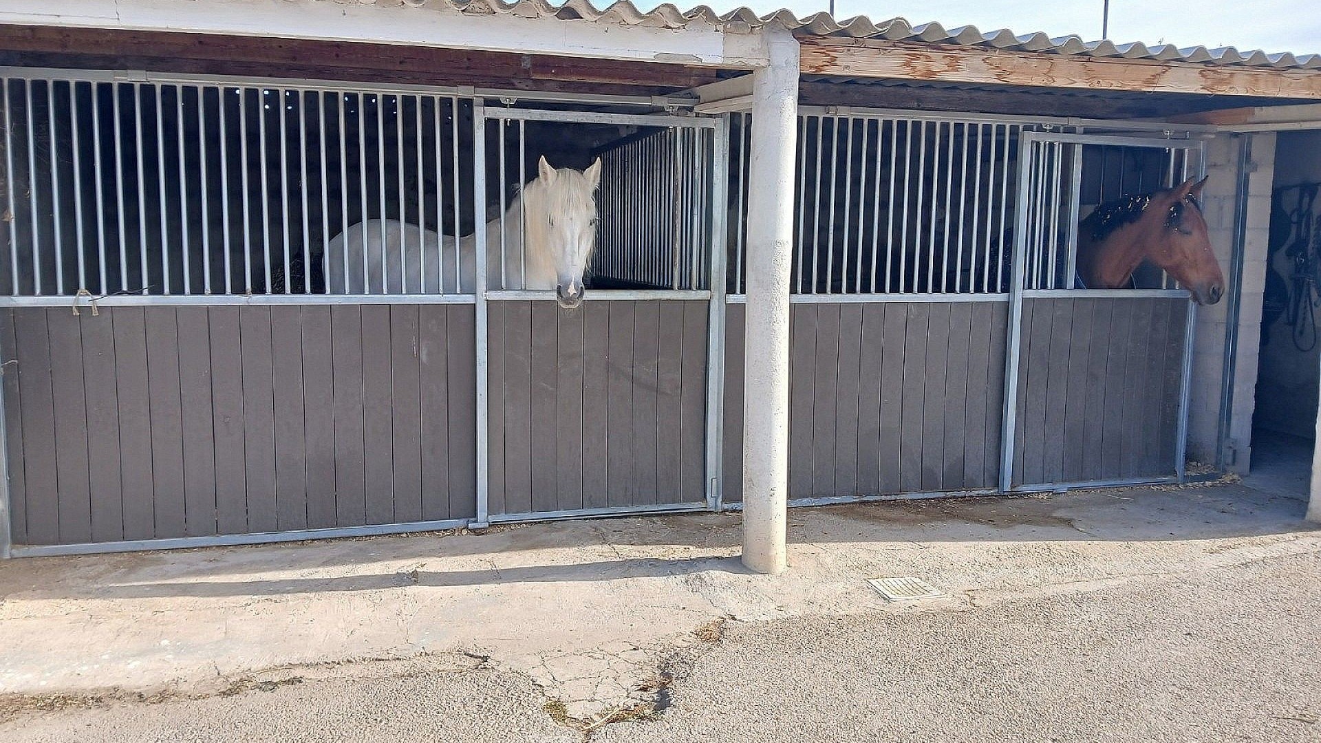 Revente - Villa Individuelle -
Monóvar