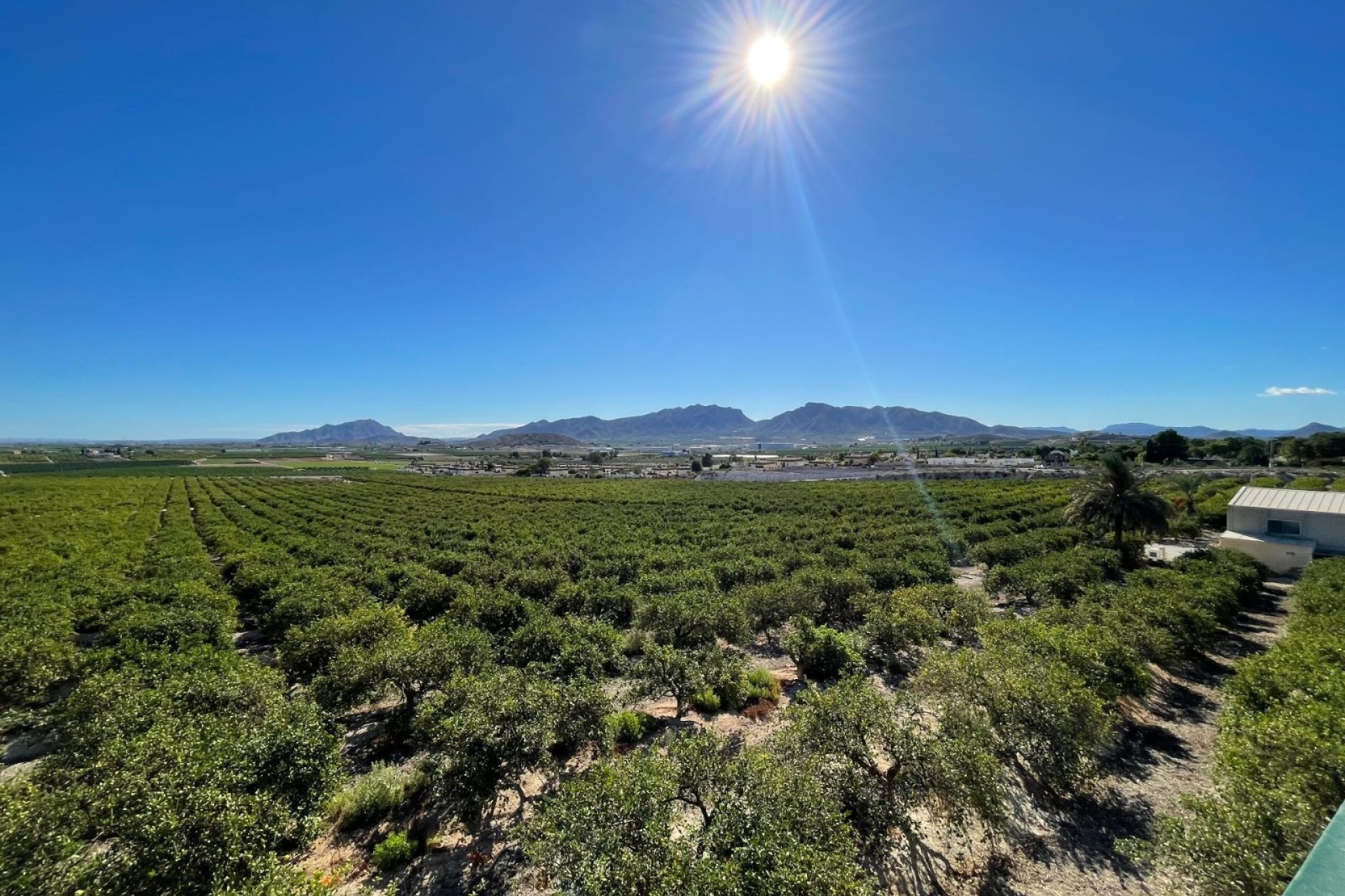 Revente - Villa Individuelle -
Murcia - Inland