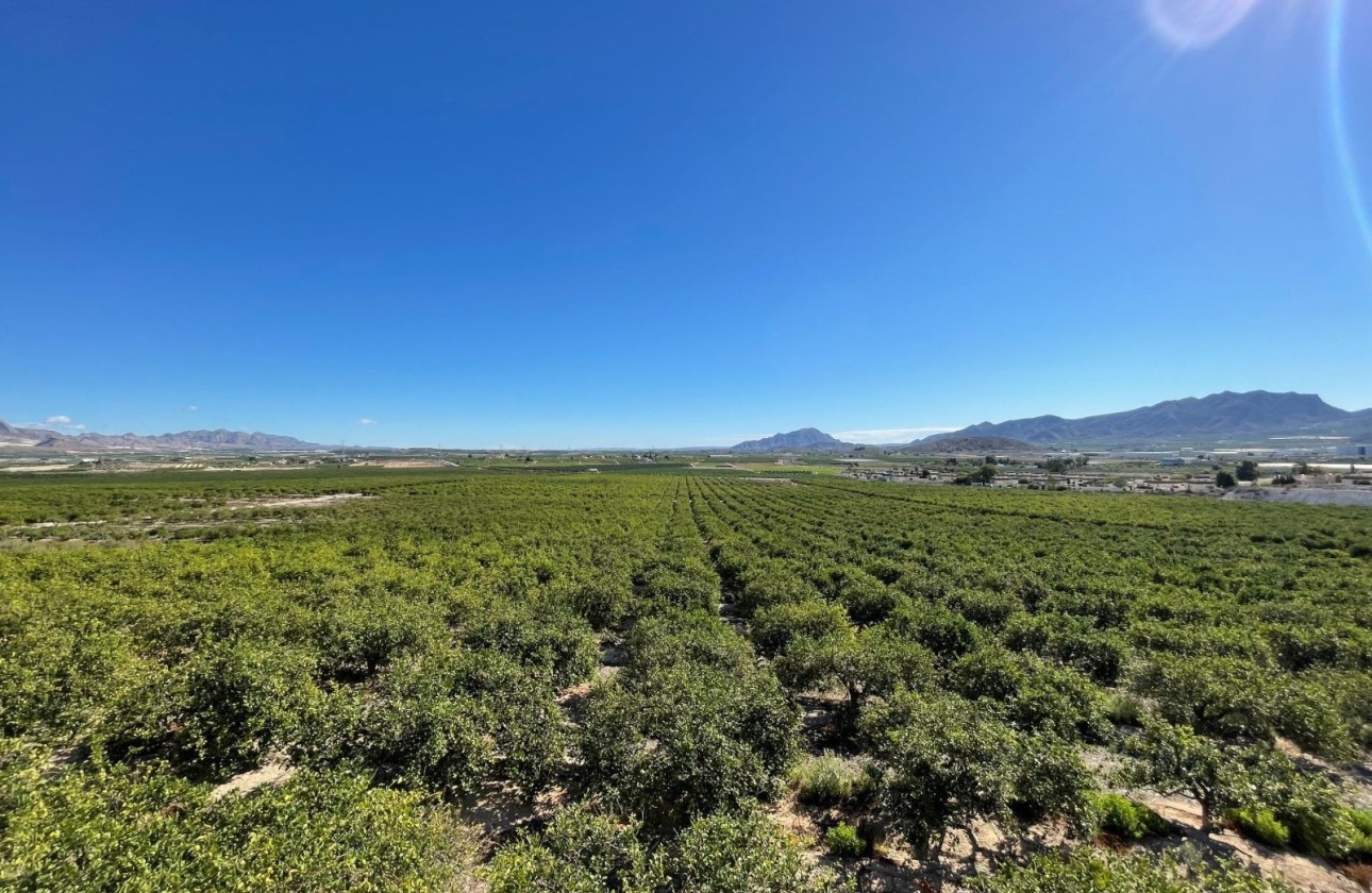 Revente - Villa Individuelle -
Murcia - Inland