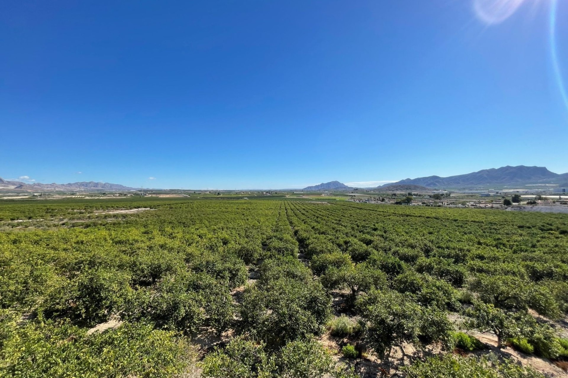 Revente - Villa Individuelle -
Murcia - Inland