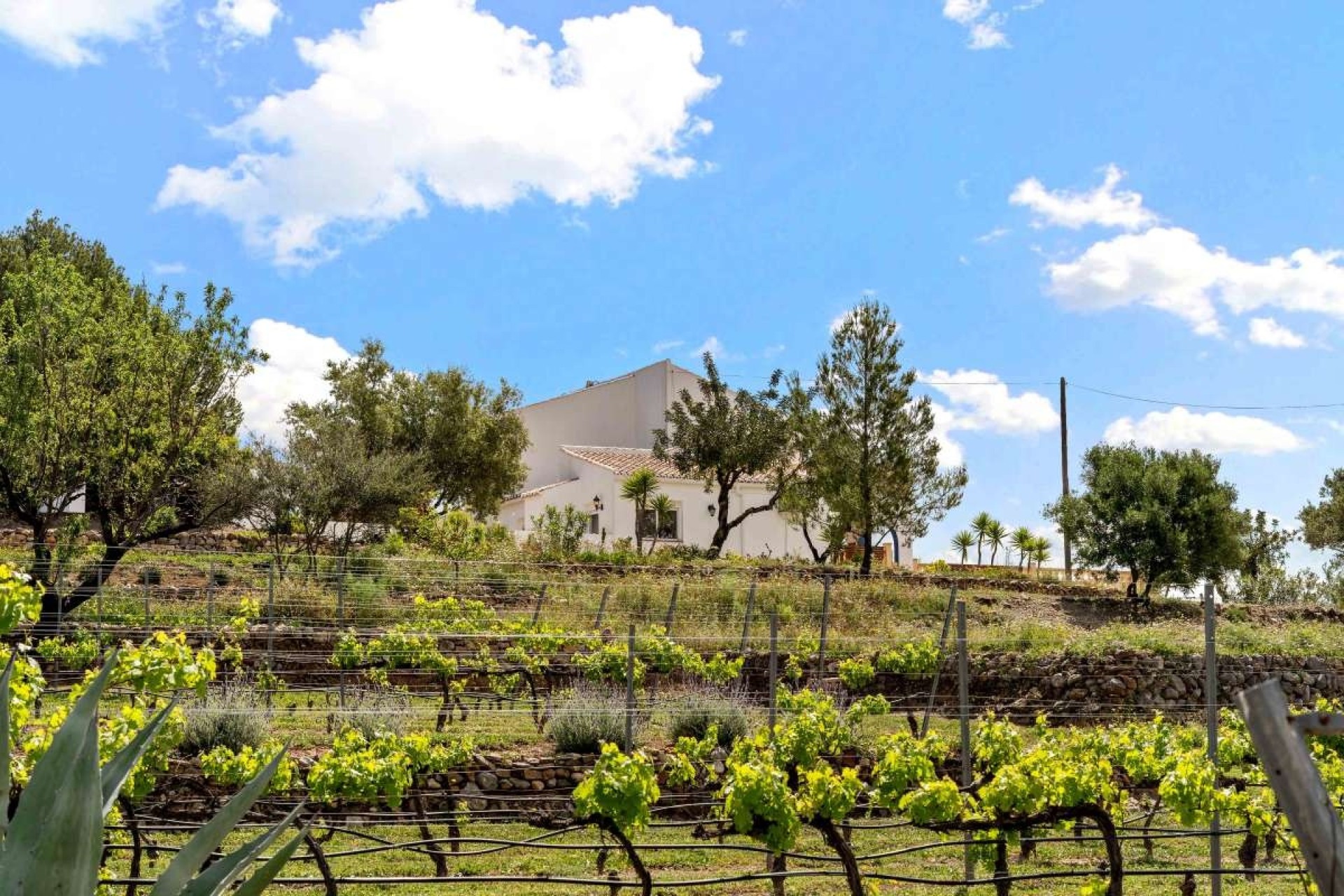 Revente - Villa Individuelle -
Murla - Inland