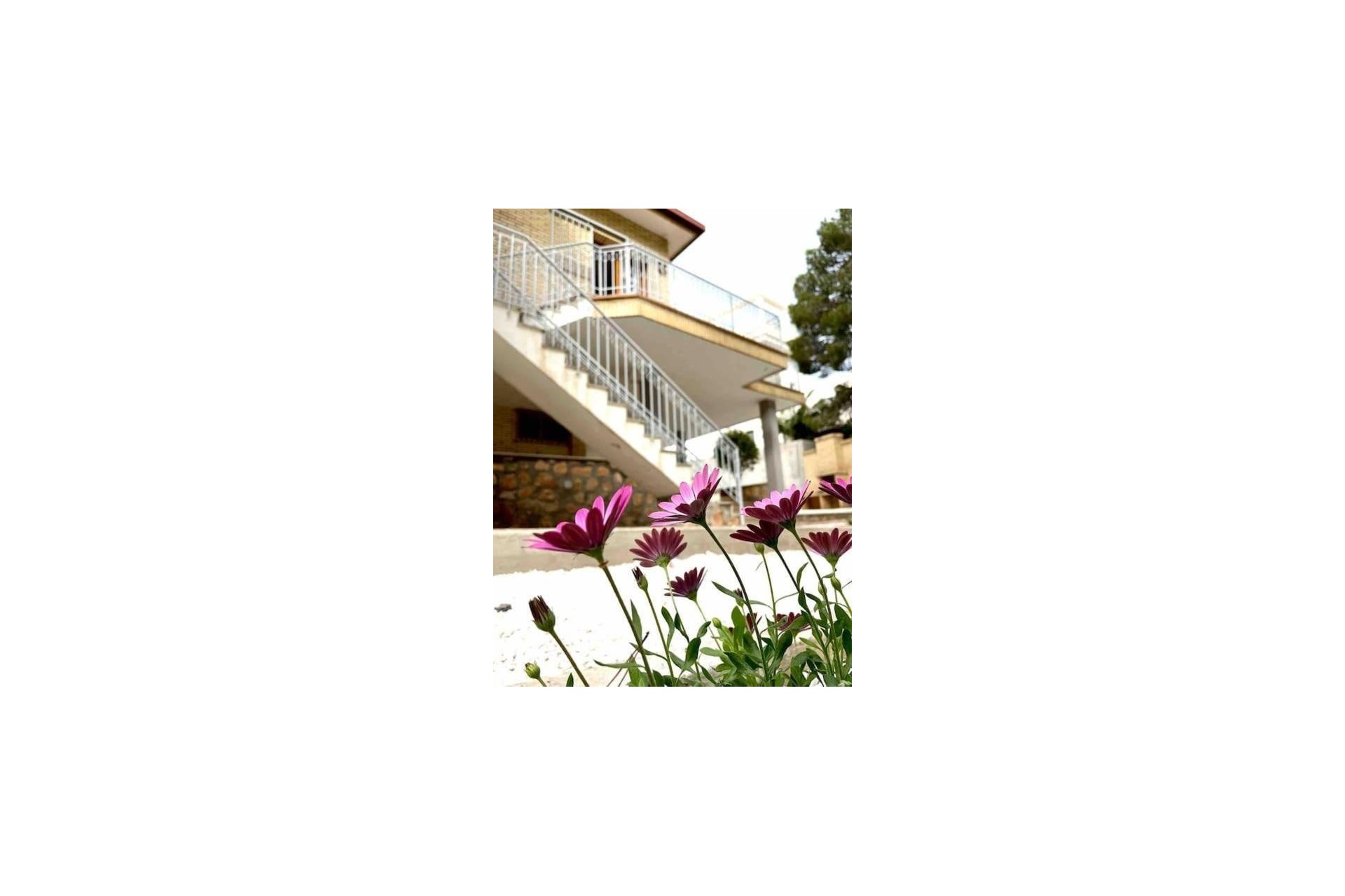Revente - Villa Individuelle -
Orihuela Costa - Campoamor
