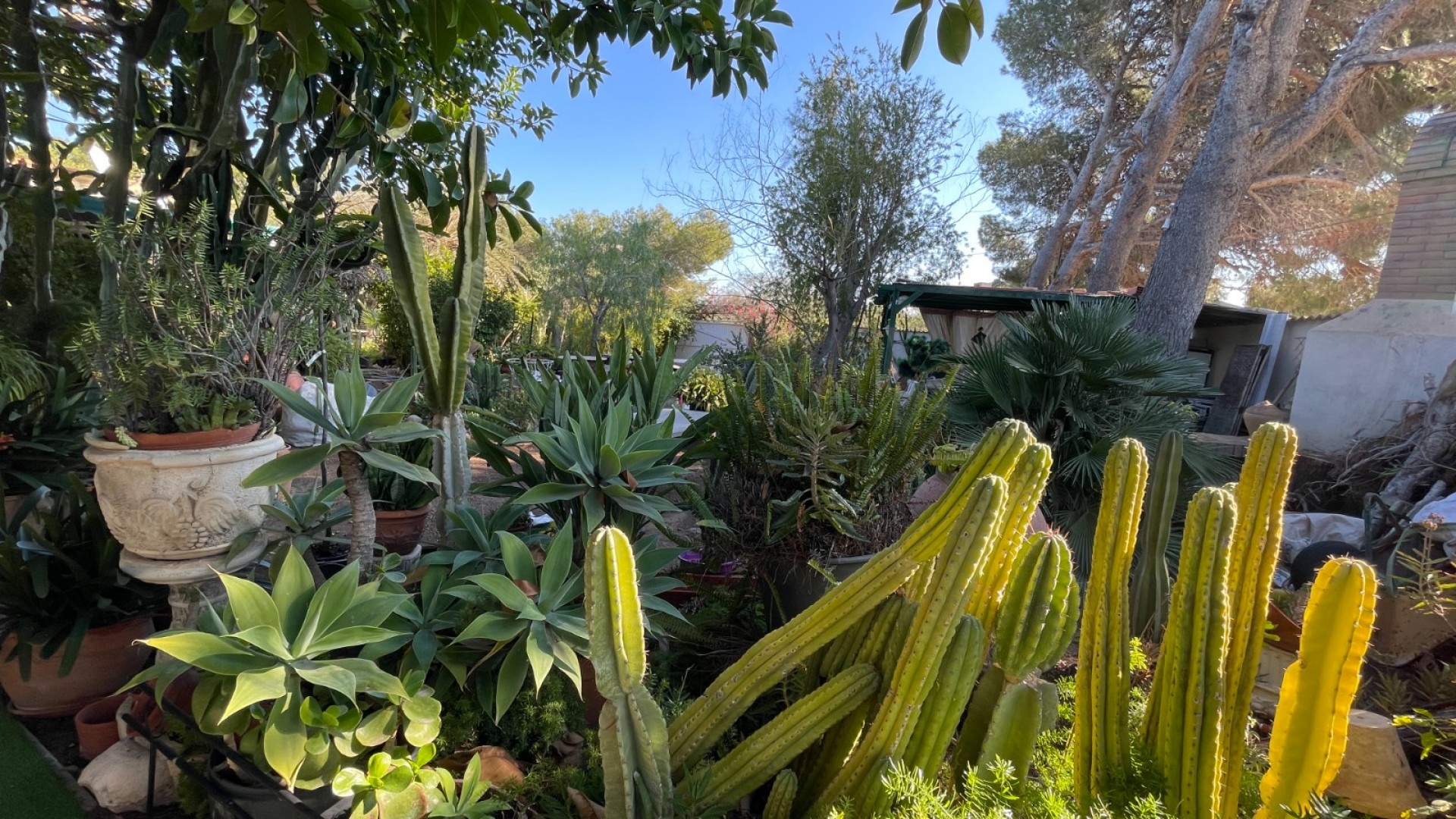 Revente - Villa Individuelle -
Orihuela Costa - Lomas De Cabo Roig