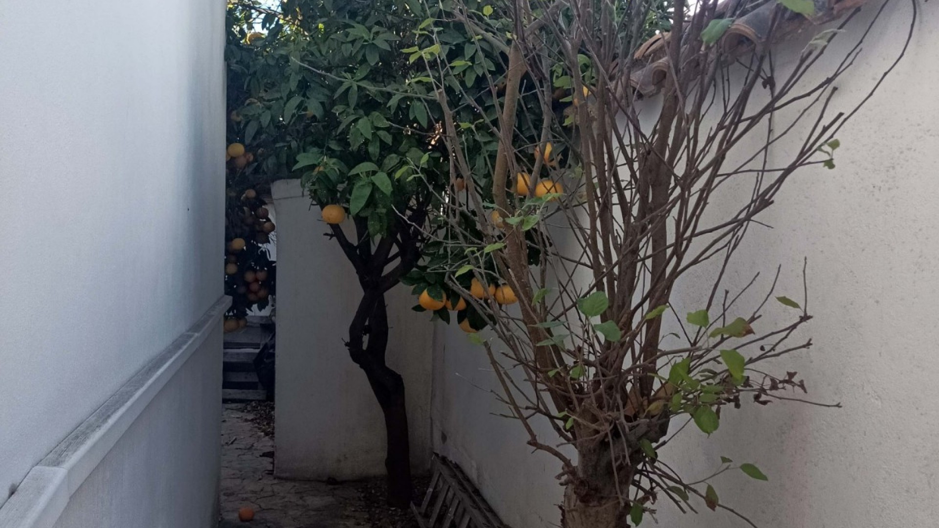 Revente - Villa Individuelle -
Orihuela - La Florida