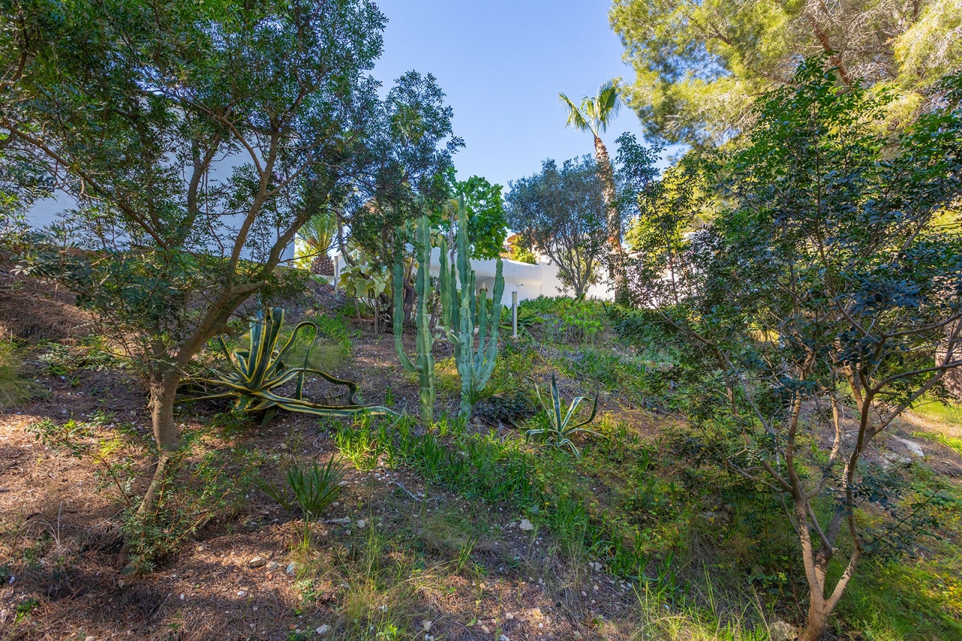 Revente - Villa Individuelle -
Orihuela - Orihuela Costa