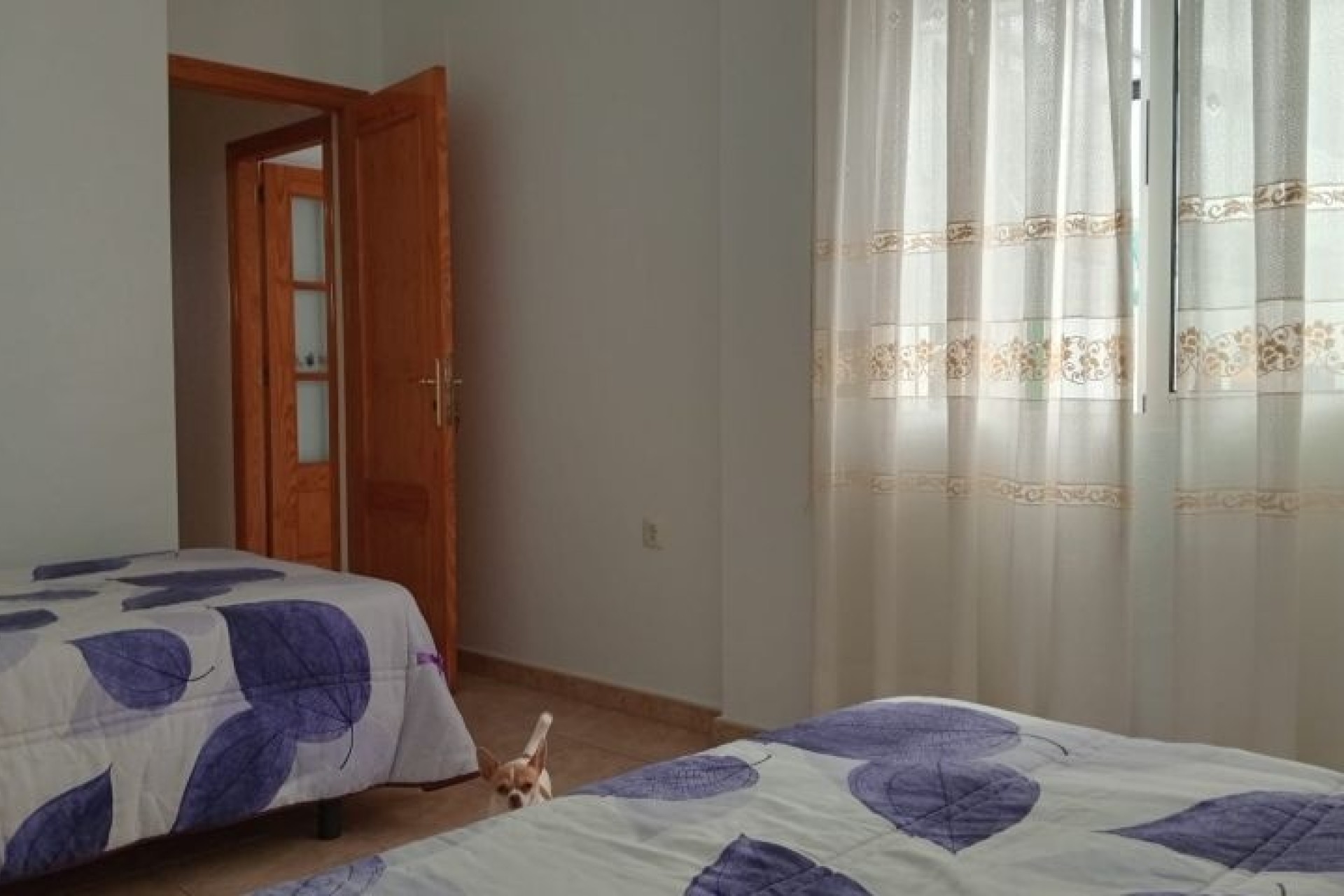 Revente - Villa Individuelle -
Pilar de la Horadada