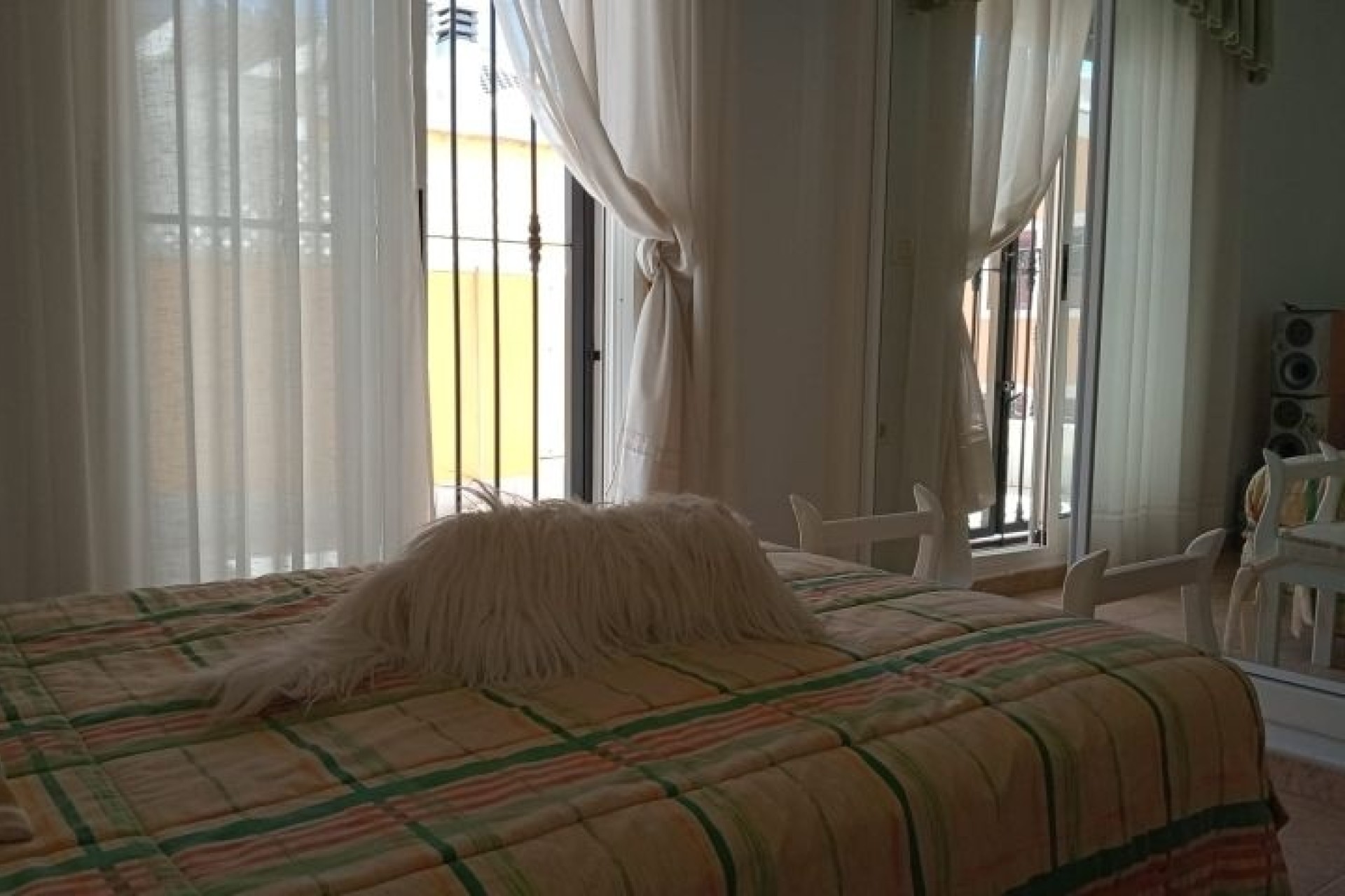 Revente - Villa Individuelle -
Pilar de la Horadada