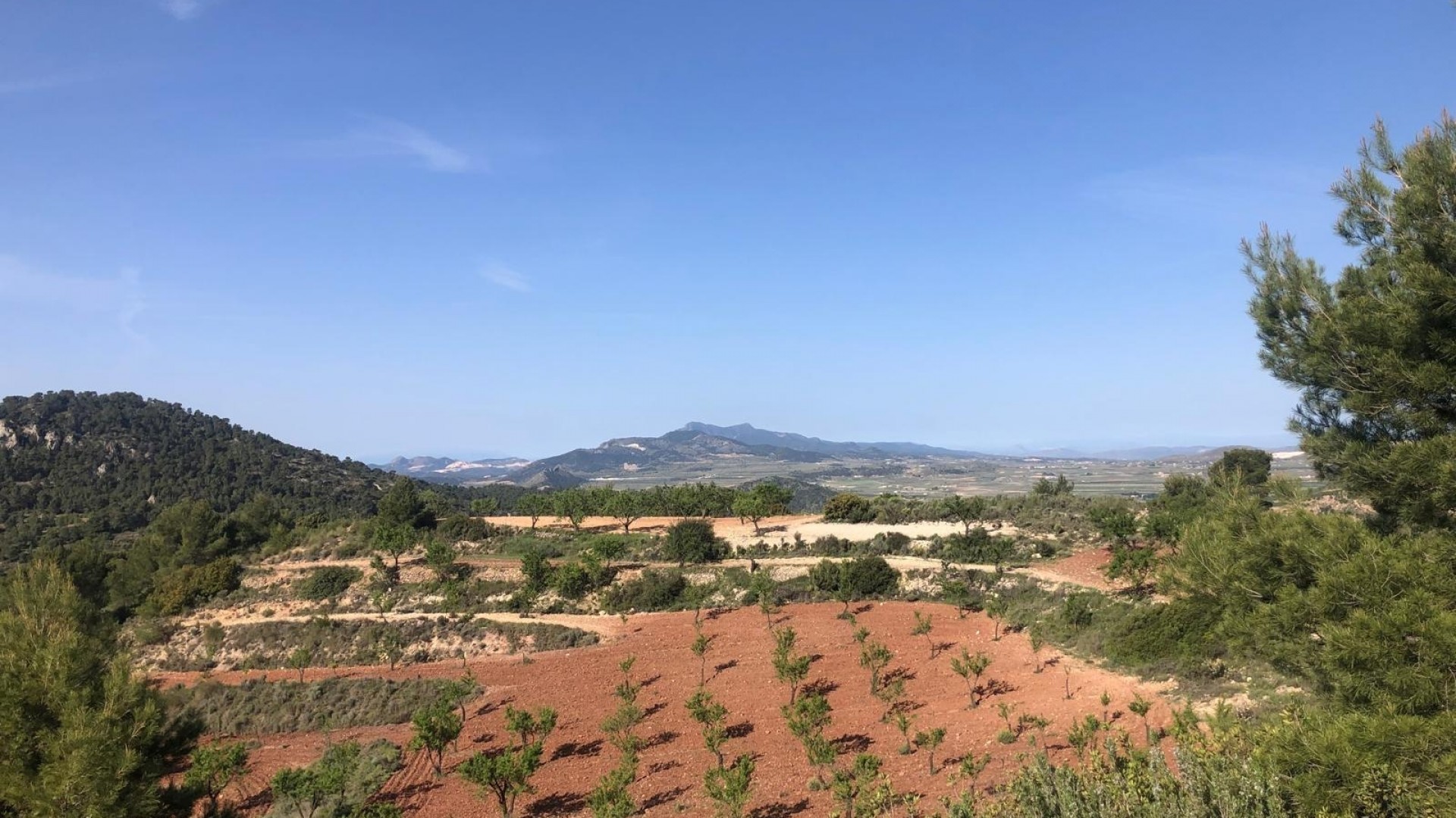 Revente - Villa Individuelle -
Pinoso - Pinoso Alicante