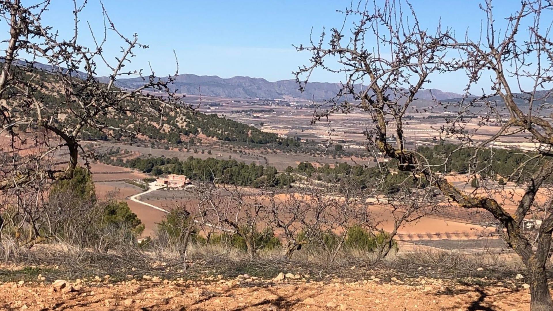 Revente - Villa Individuelle -
Pinoso - Pinoso Alicante