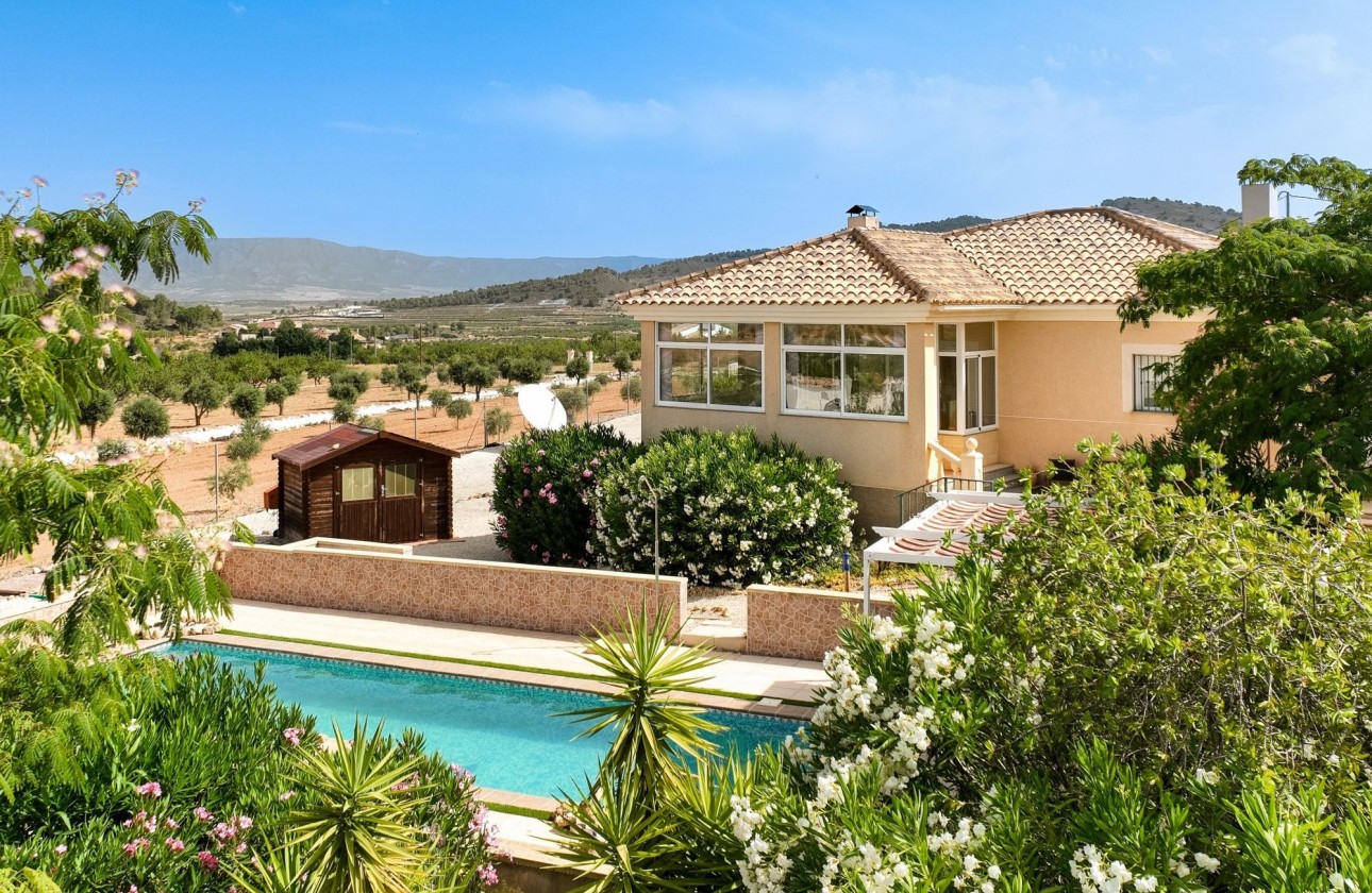 Revente - Villa Individuelle -
Pinoso