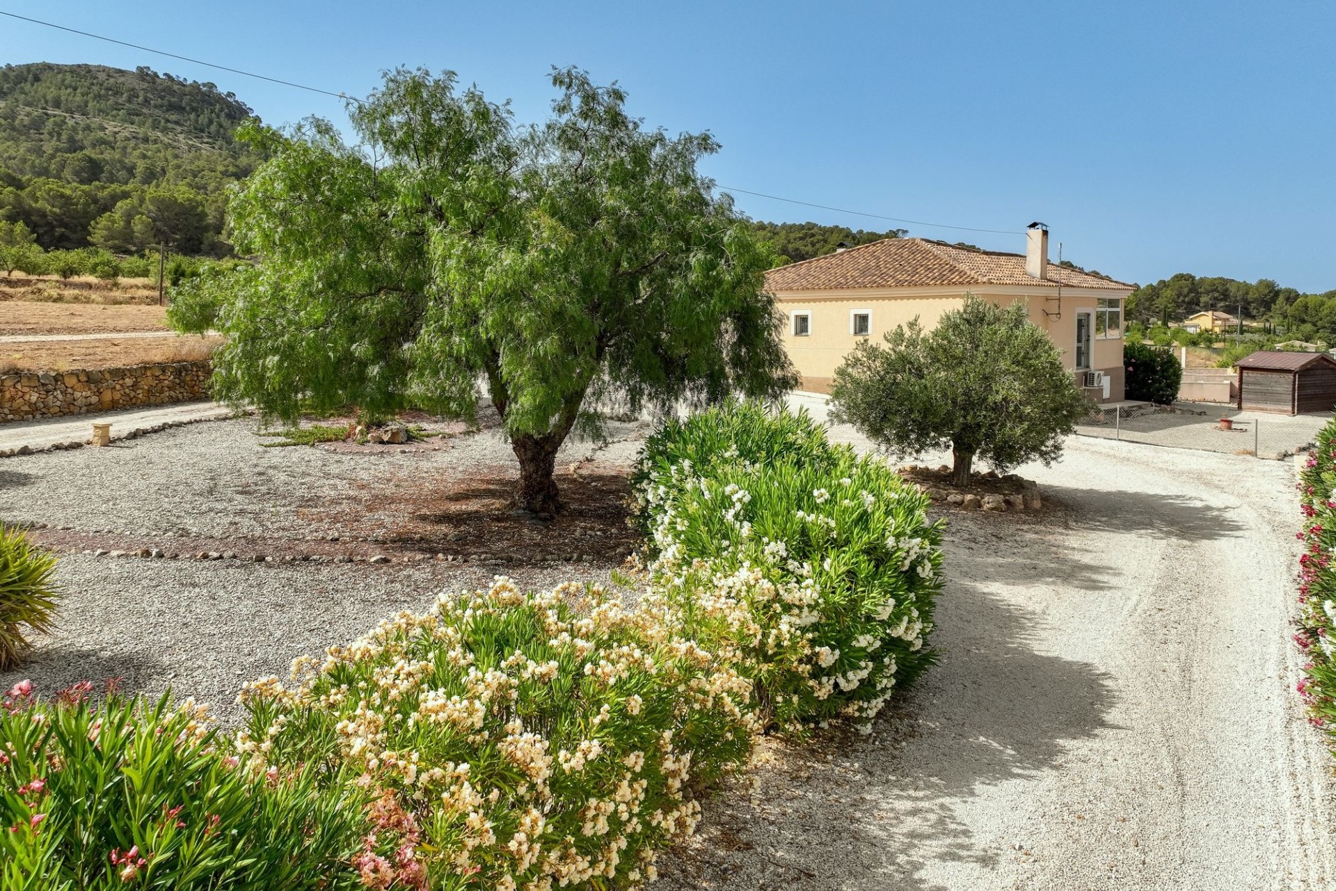 Revente - Villa Individuelle -
Pinoso