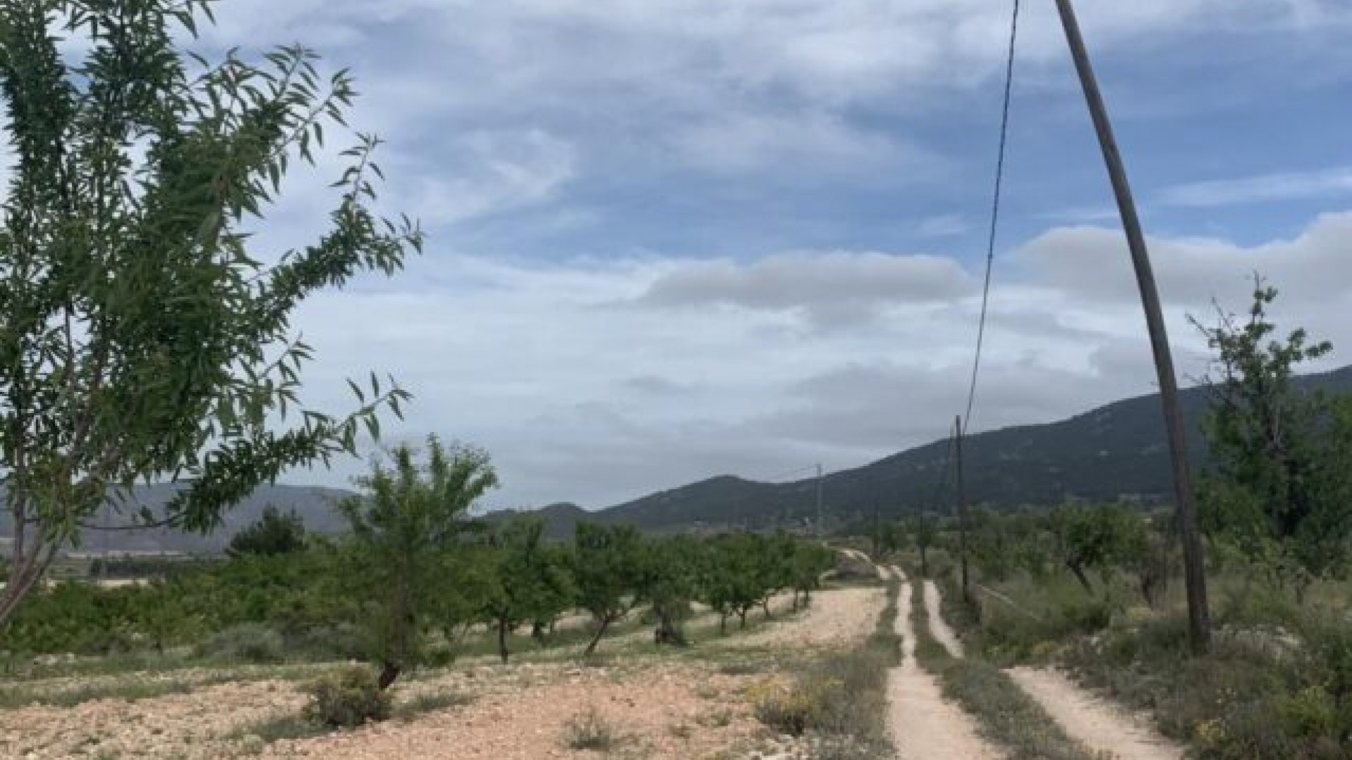 Revente - Villa Individuelle -
Pinoso