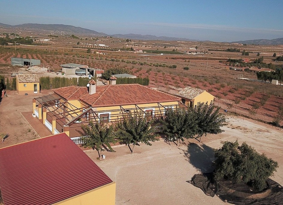 Revente - Villa Individuelle -
Pinoso