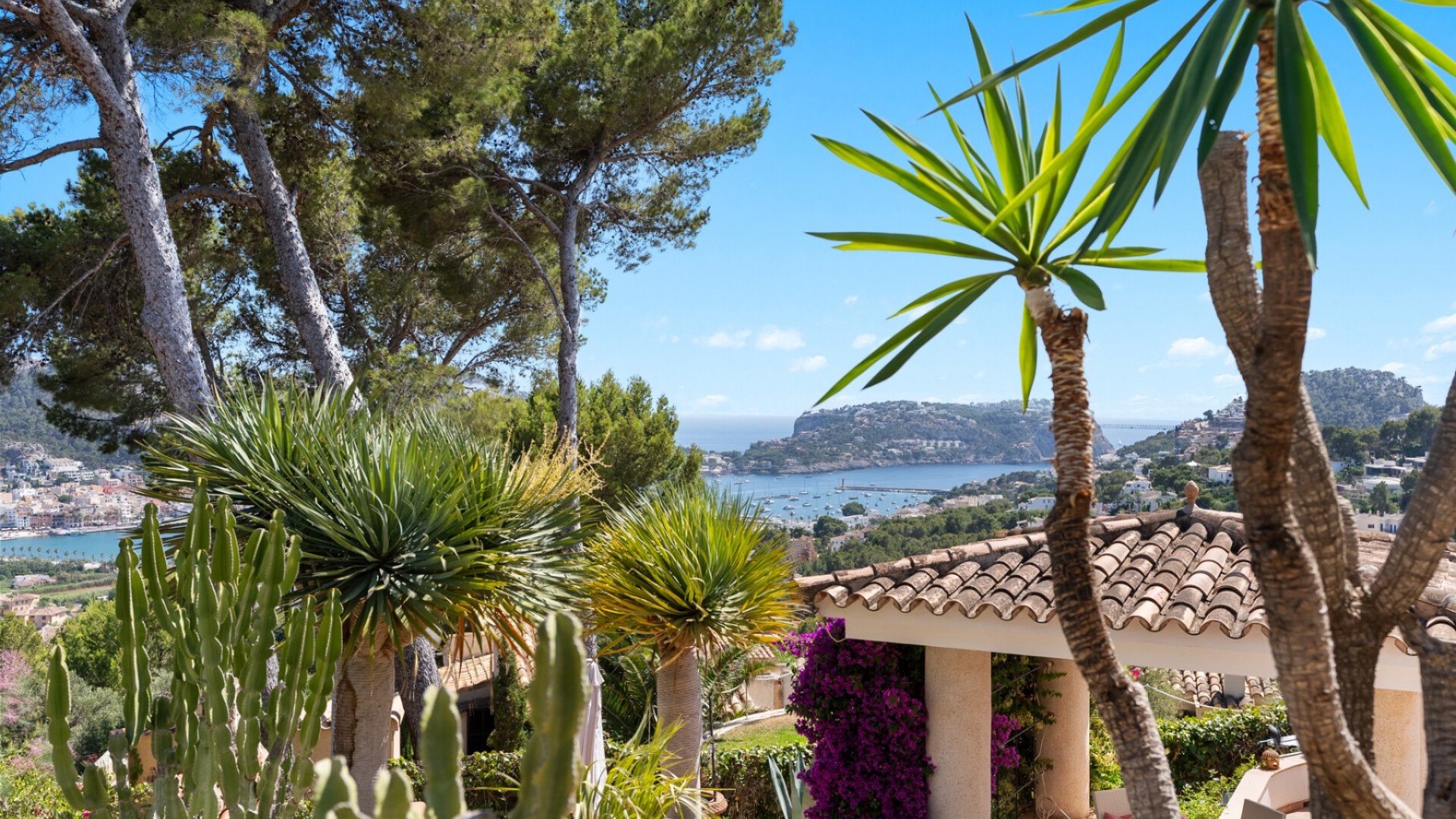 Revente - Villa Individuelle -
Port d'Andratx - Andratx