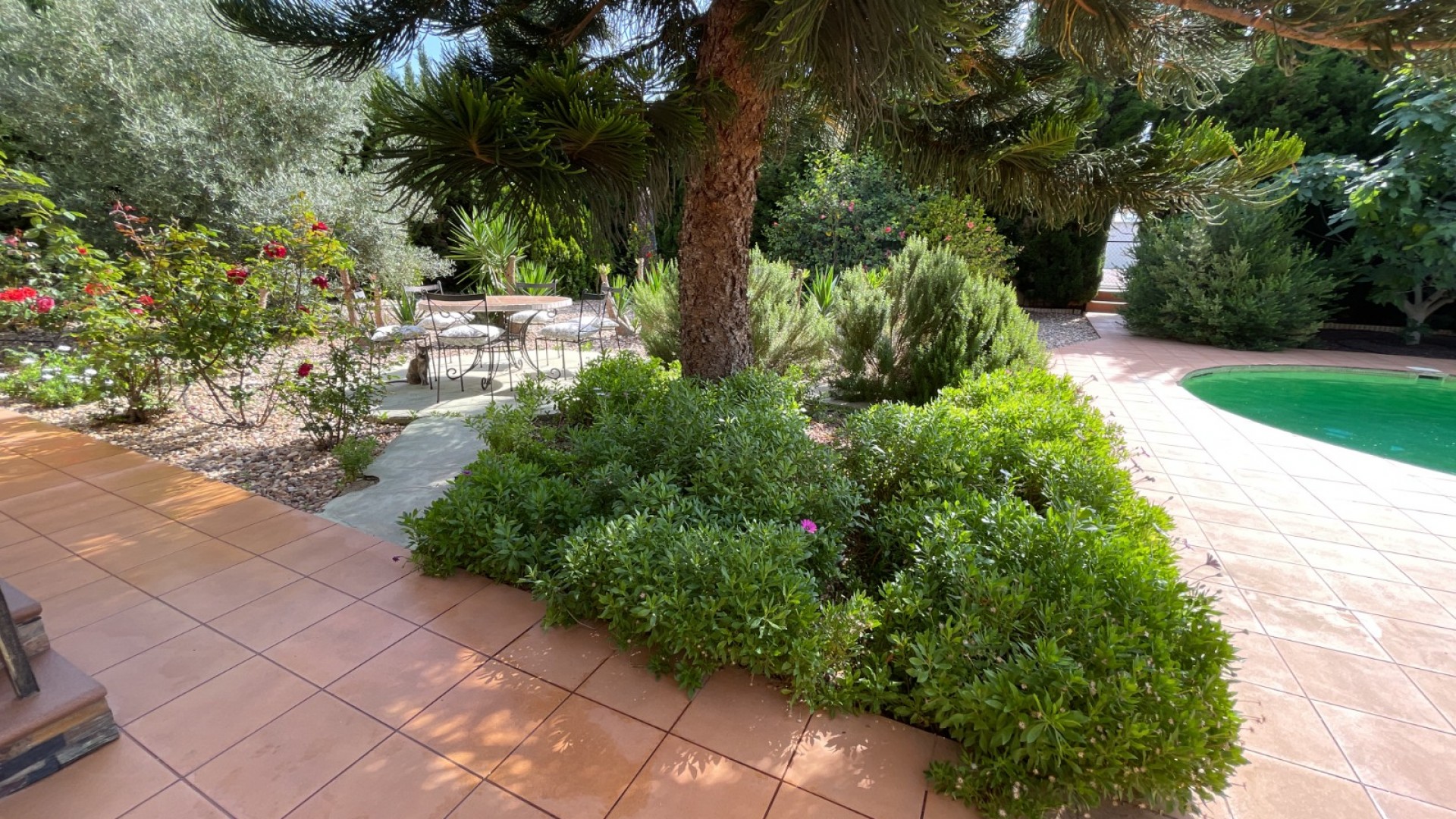 Revente - Villa Individuelle -
Rojales - Ciudad Quesada