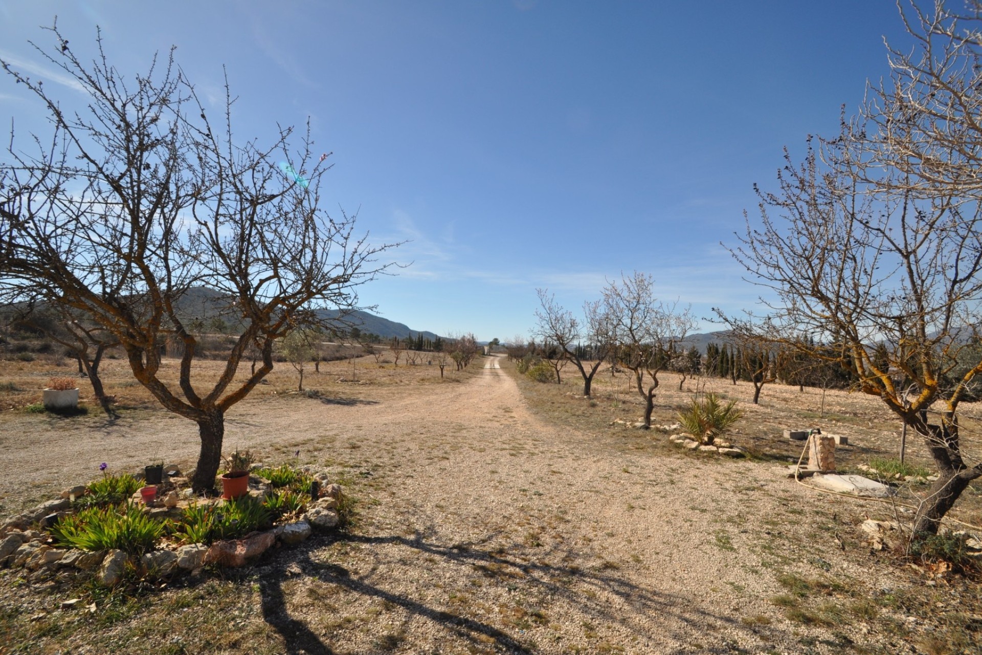 Revente - Villa Individuelle -
Salinas - Inland
