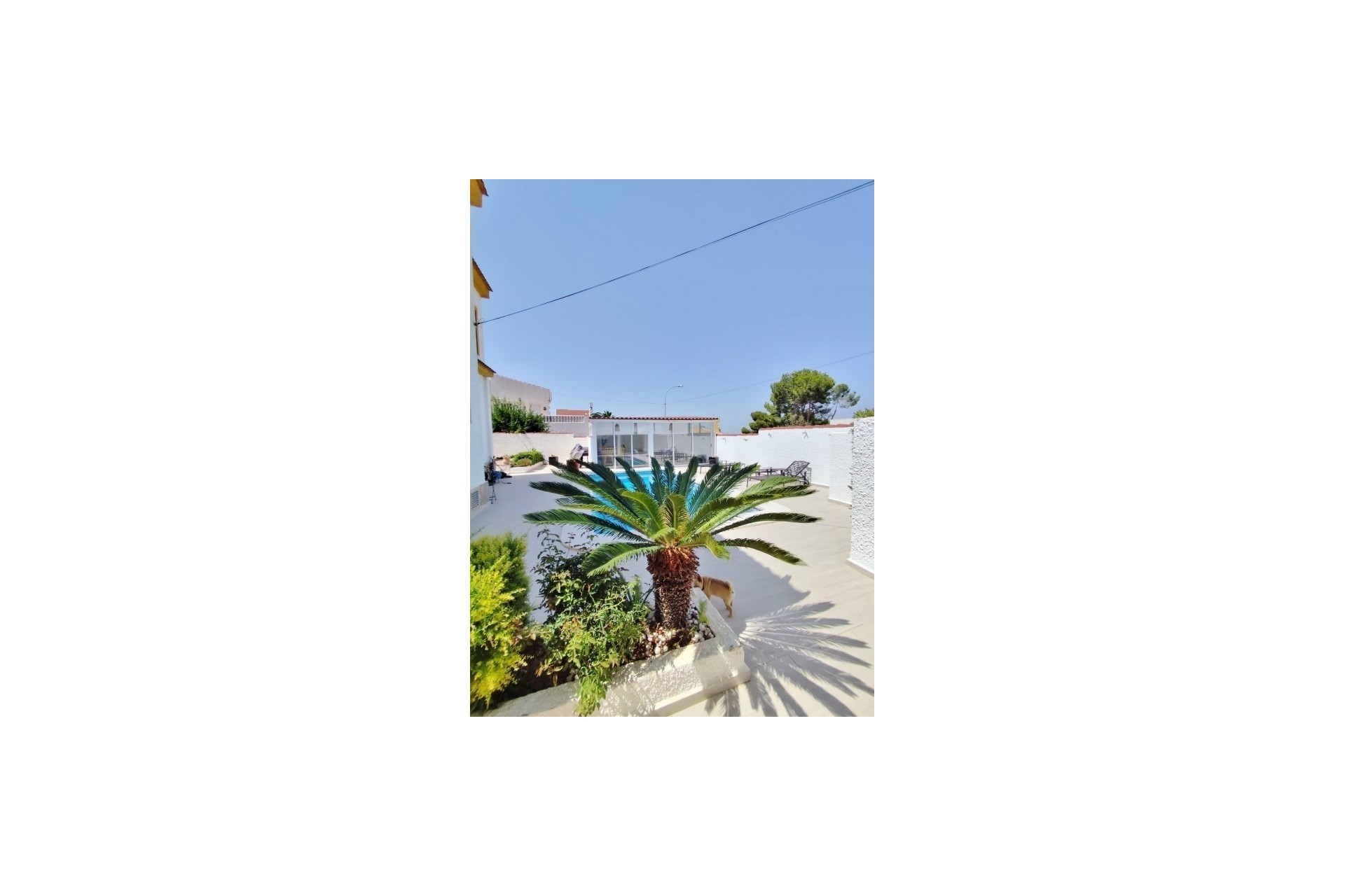Revente - Villa Individuelle -
San Miguel de Salinas - Inland