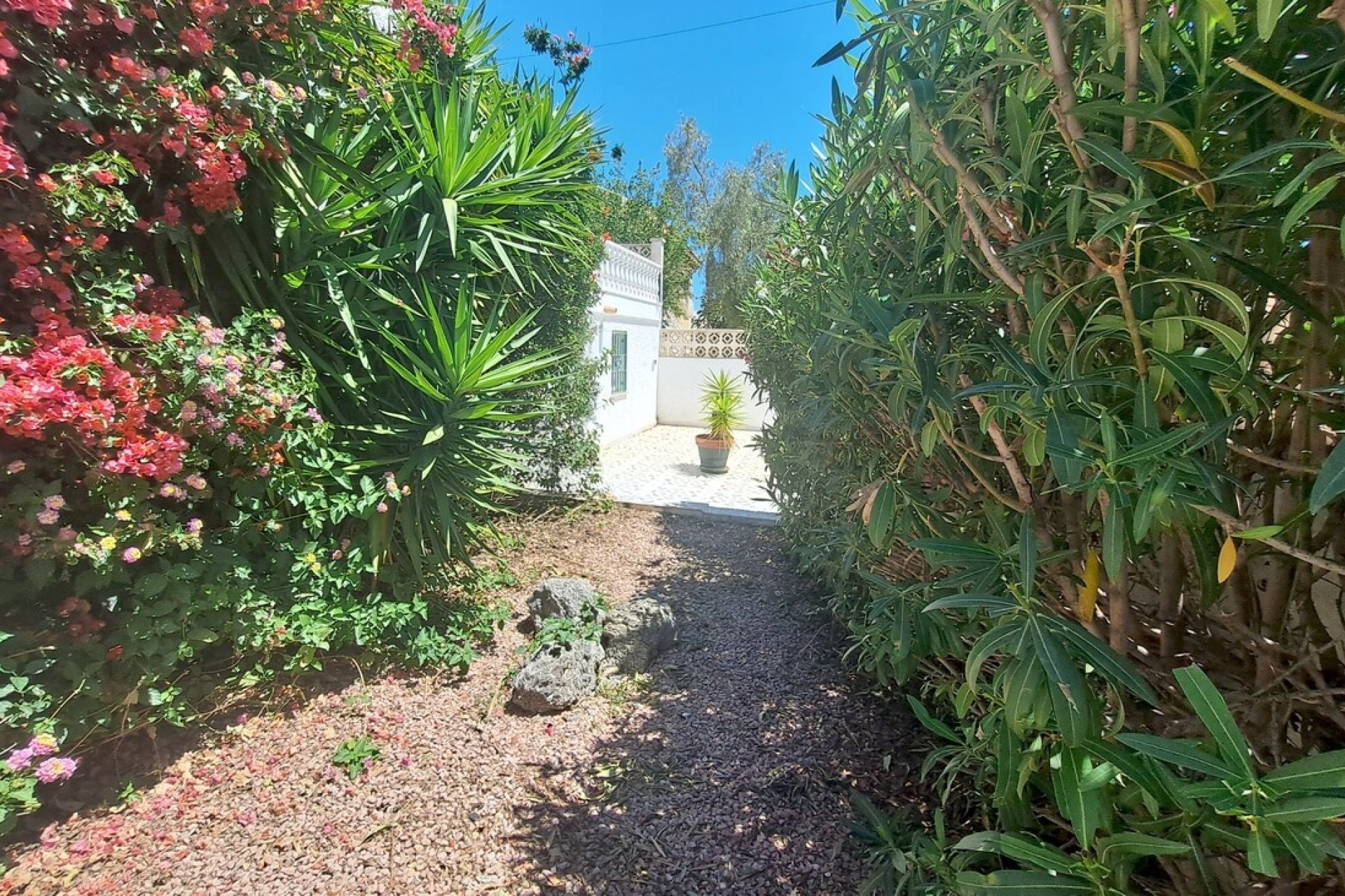Revente - Villa Individuelle -
San Miguel de Salinas - Inland
