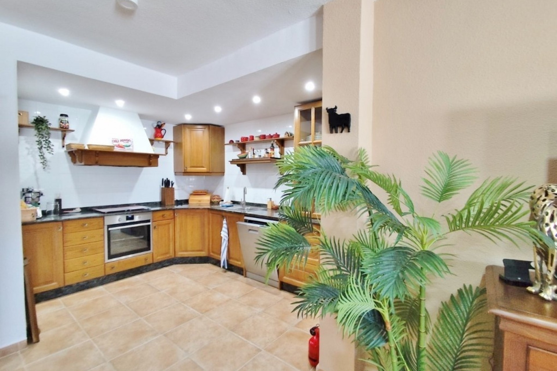 Revente - Villa Individuelle -
San Miguel de Salinas