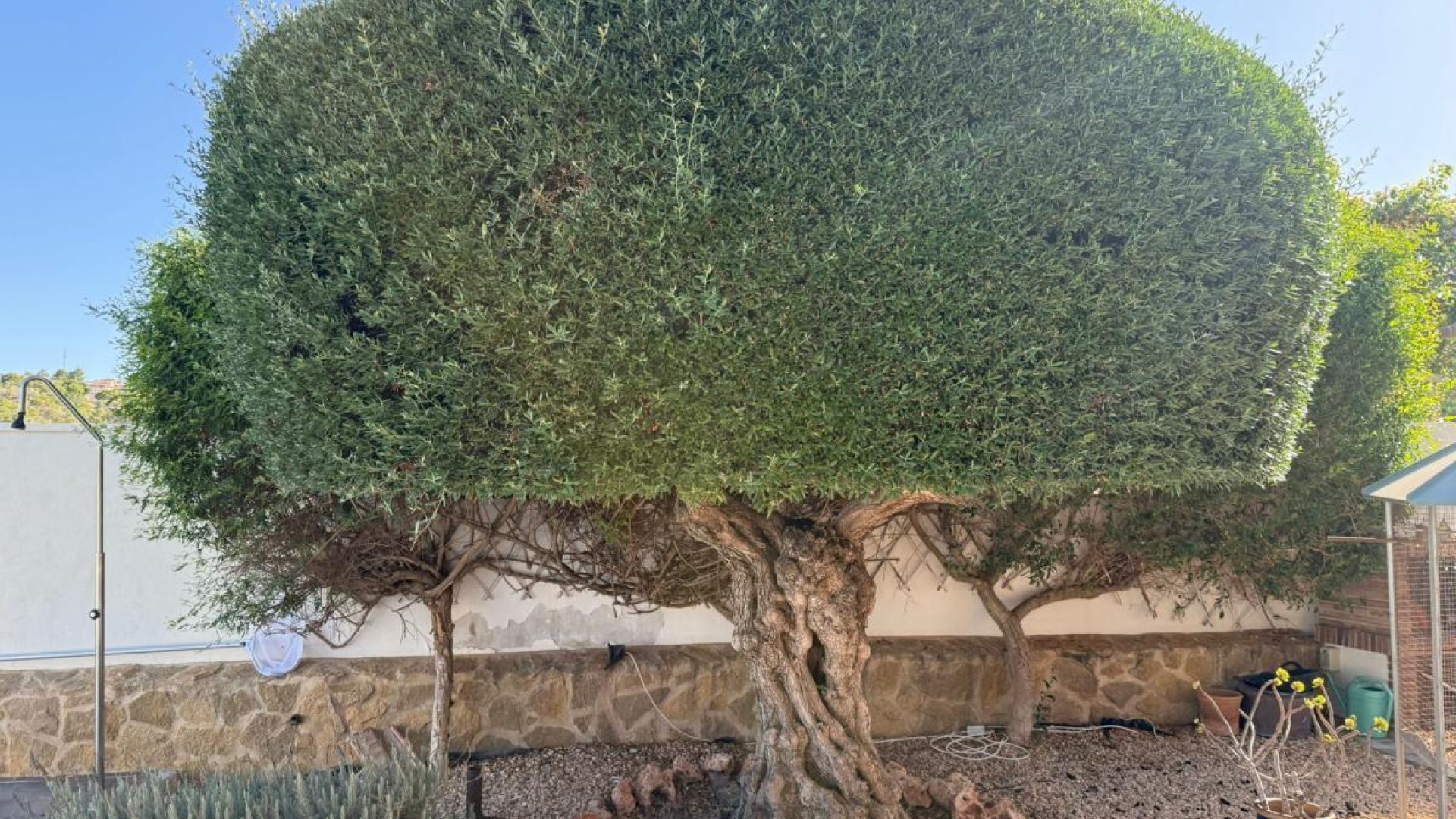 Revente - Villa Individuelle -
San Miguel de Salinas