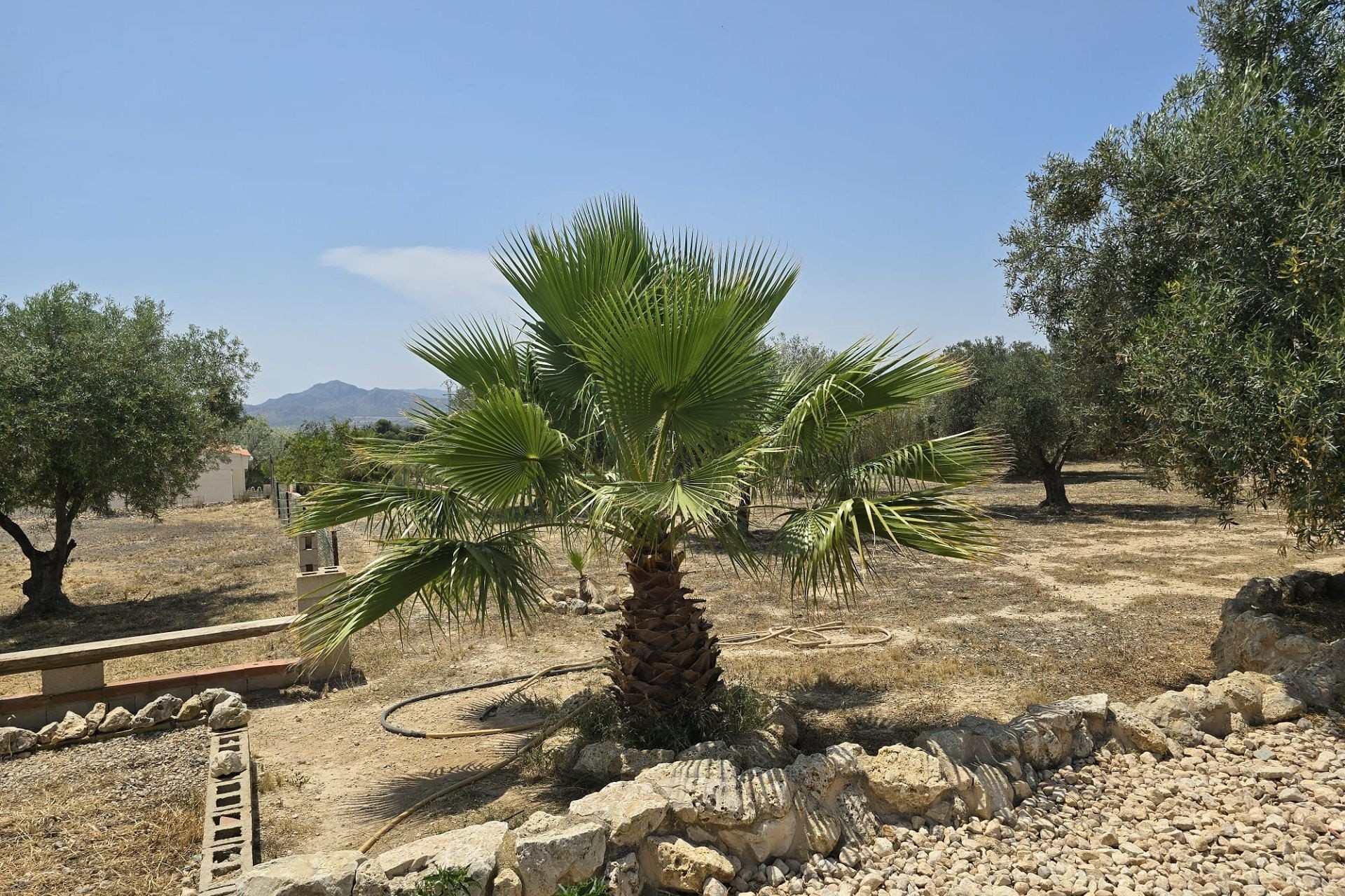 Revente - Villa Individuelle -
SAX