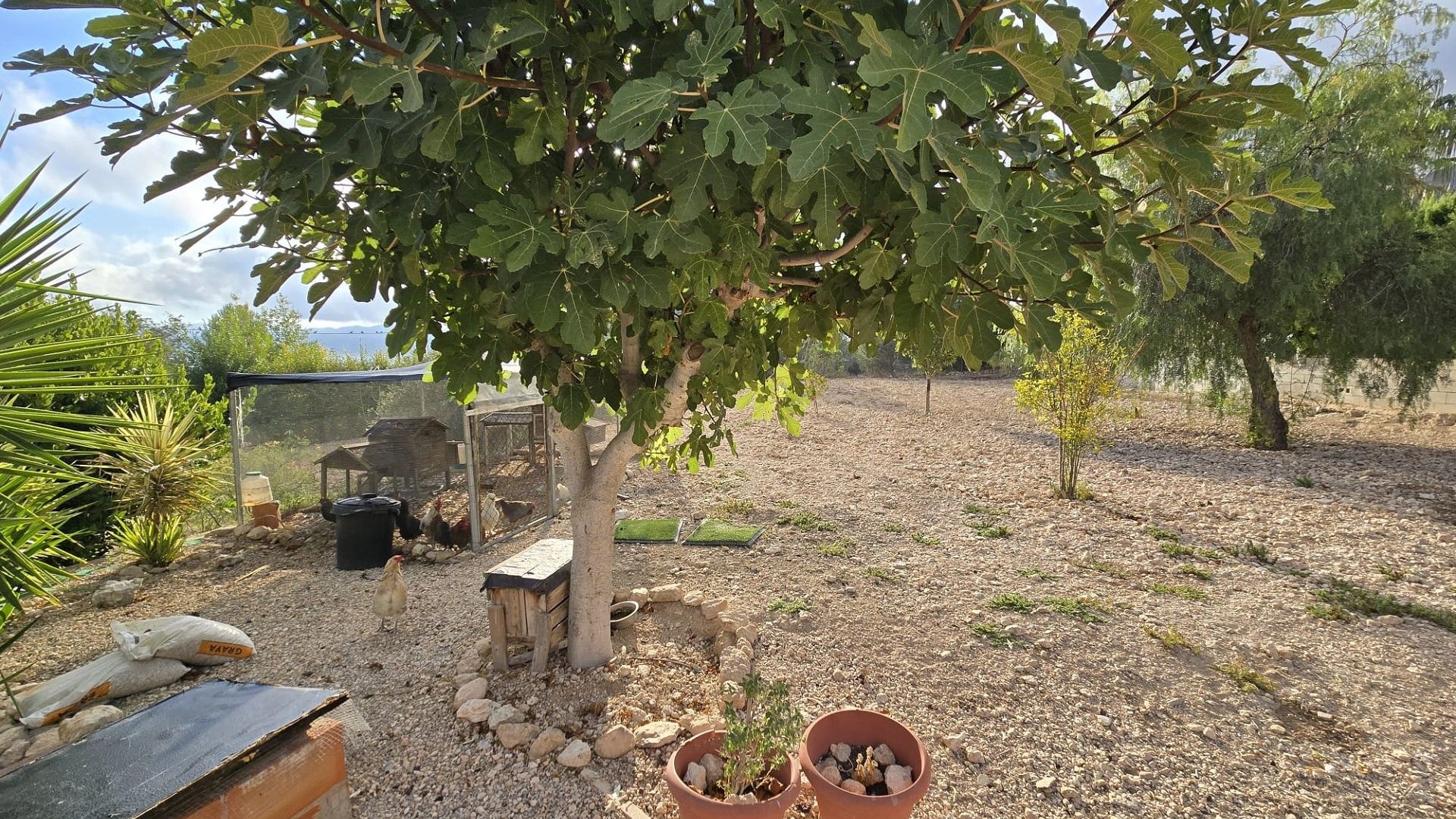 Revente - Villa Individuelle -
SAX