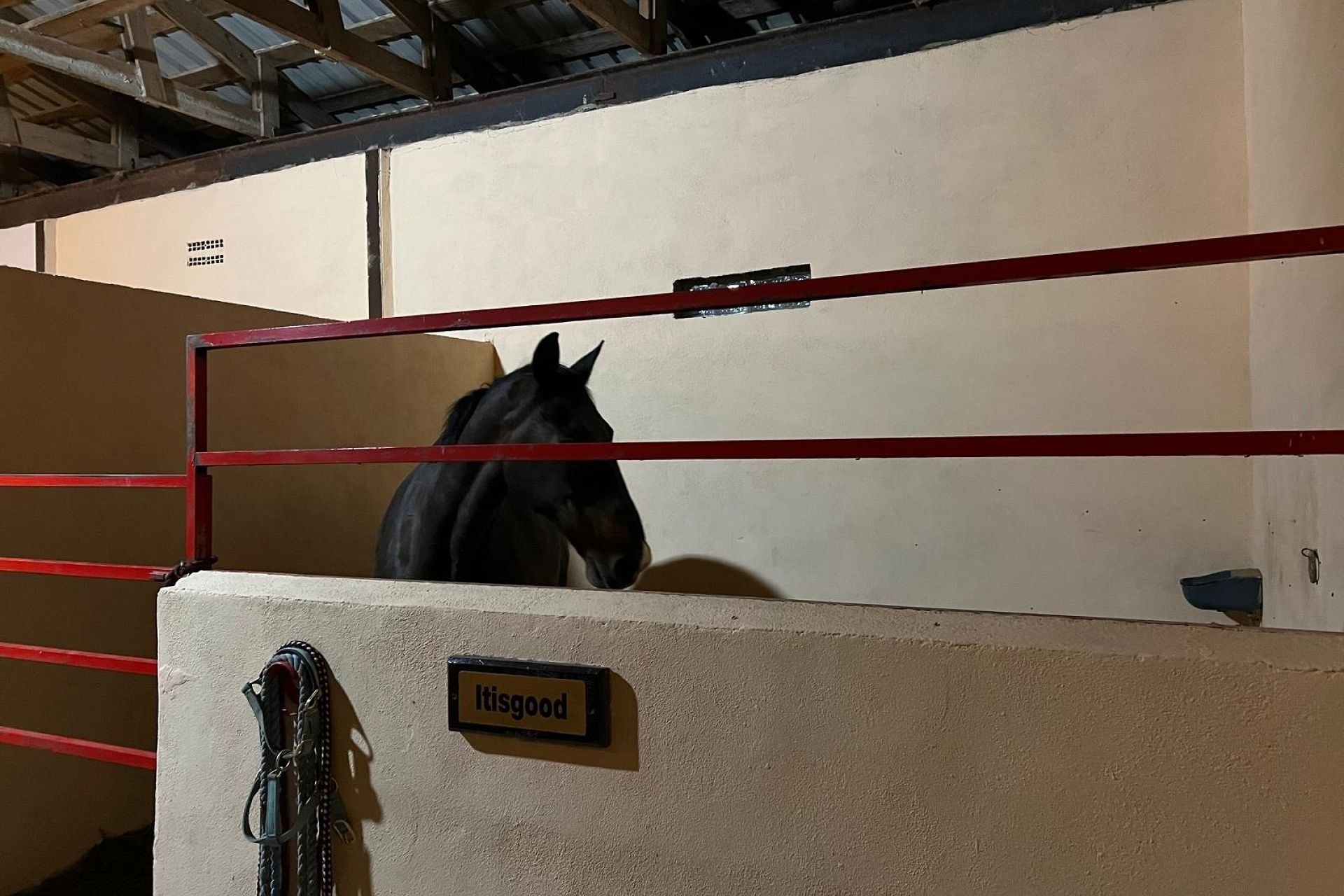 Revente - Villa Individuelle -
Torre del Rico - Torre Del Rico