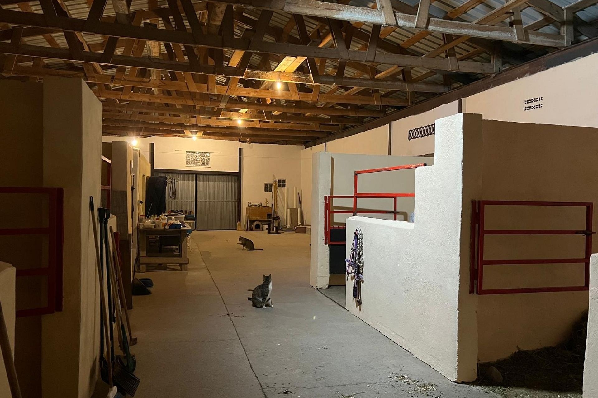 Revente - Villa Individuelle -
Torre del Rico - Torre Del Rico