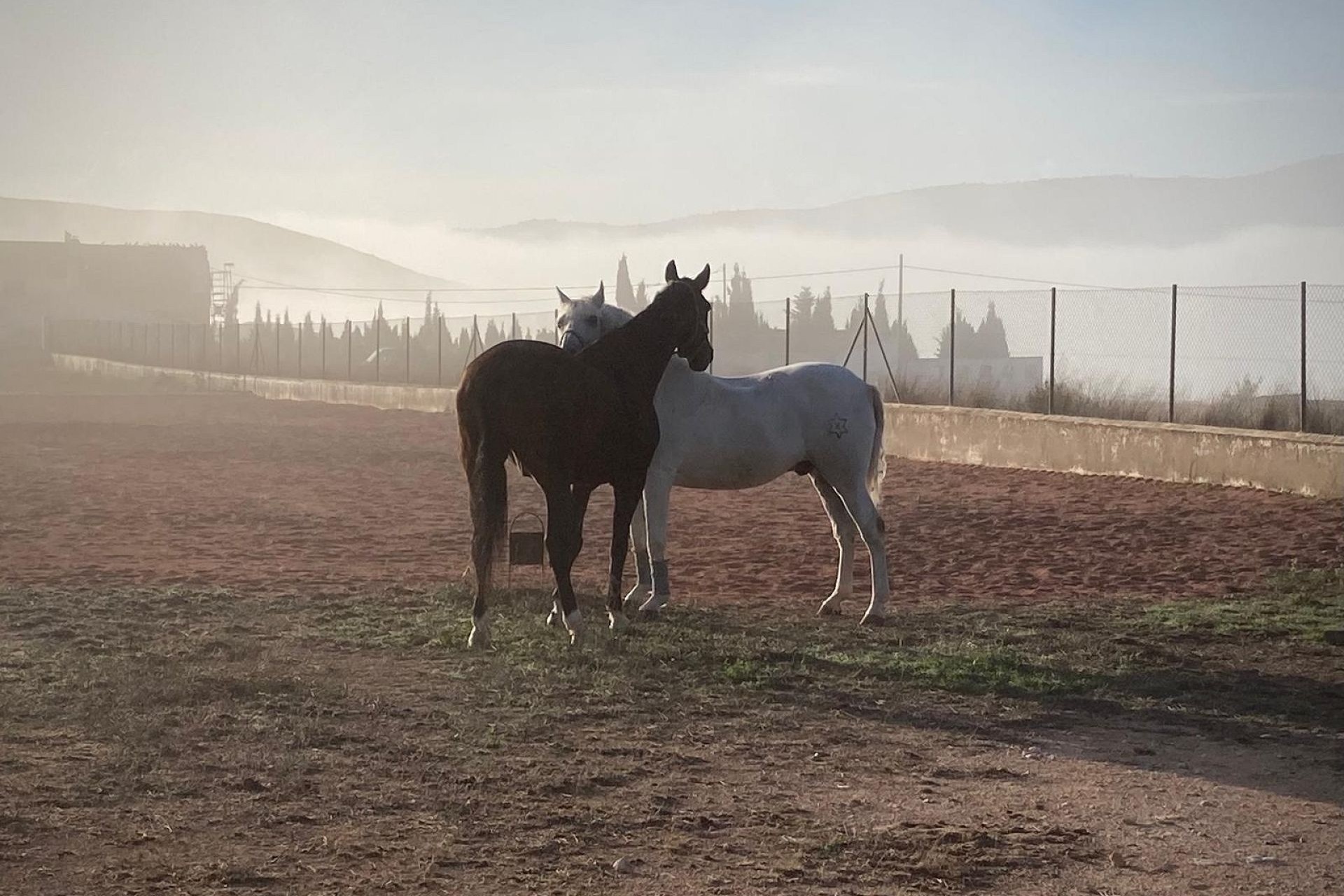 Revente - Villa Individuelle -
Torre del Rico - Torre Del Rico