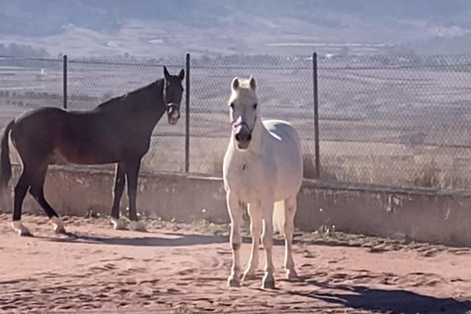 Revente - Villa Individuelle -
Torre del Rico - Torre Del Rico