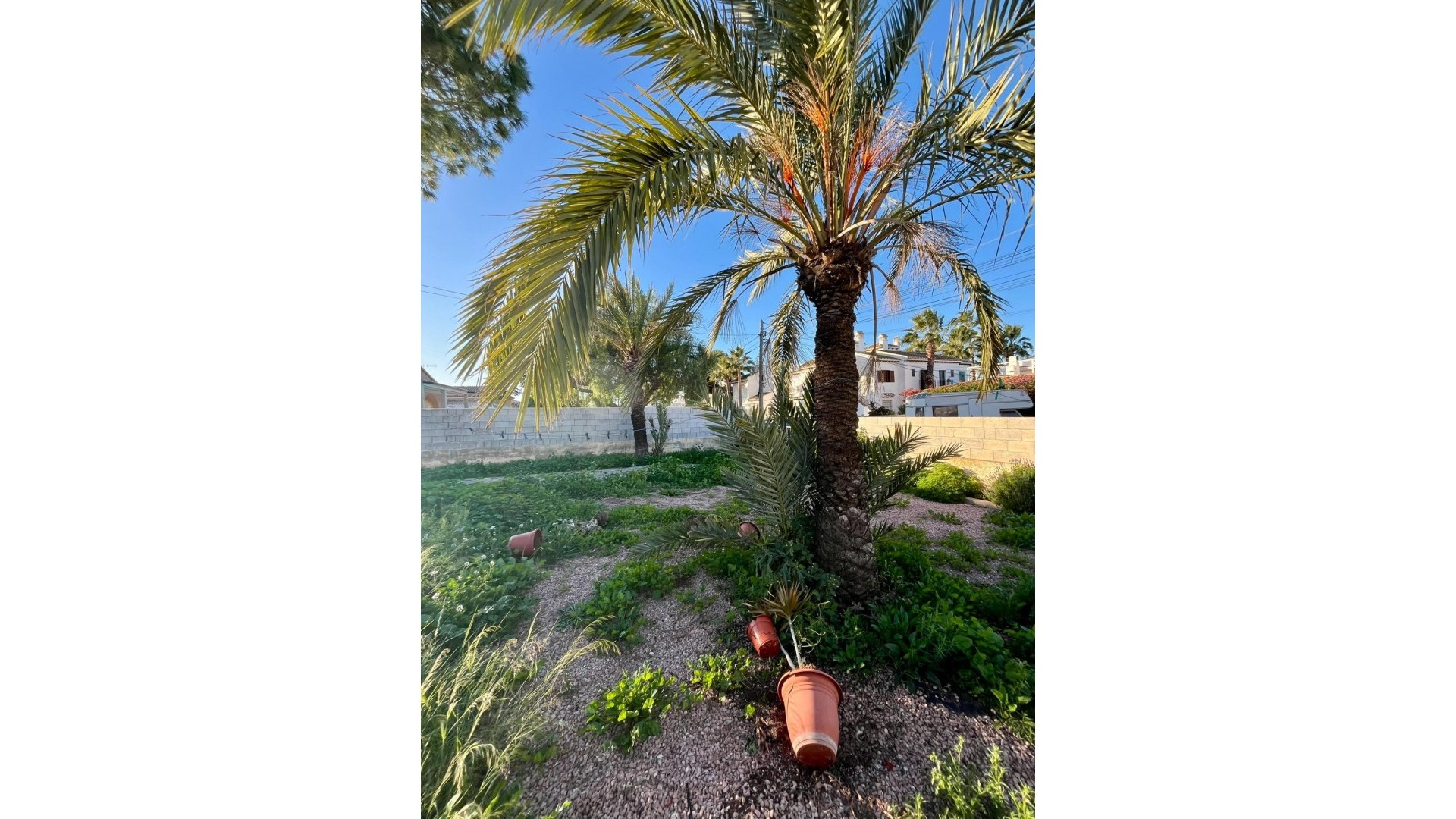 Revente - Villa Individuelle -
Torrevieja - Aguas Nuevas