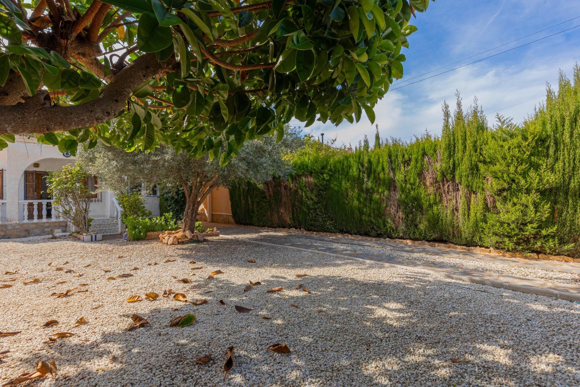 Revente - Villa Individuelle -
Torrevieja - El chaparral