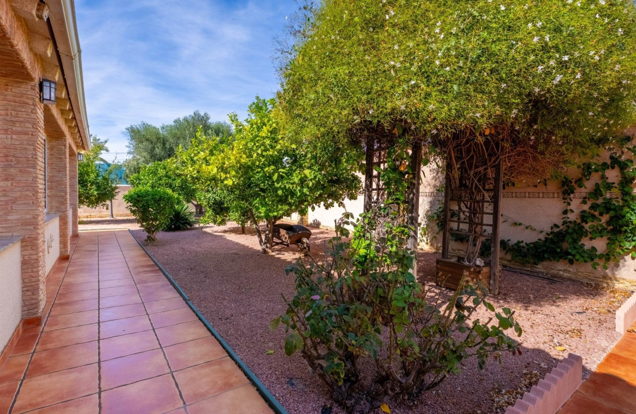 Revente - Villa Individuelle -
Torrevieja - El chaparral