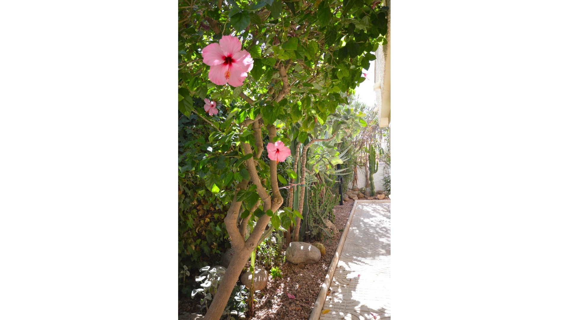 Revente - Villa Individuelle -
Torrevieja - La veleta