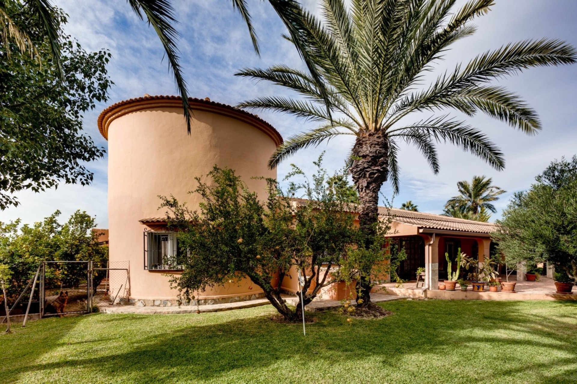 Revente - Villa Individuelle -
Torrevieja - San Luis