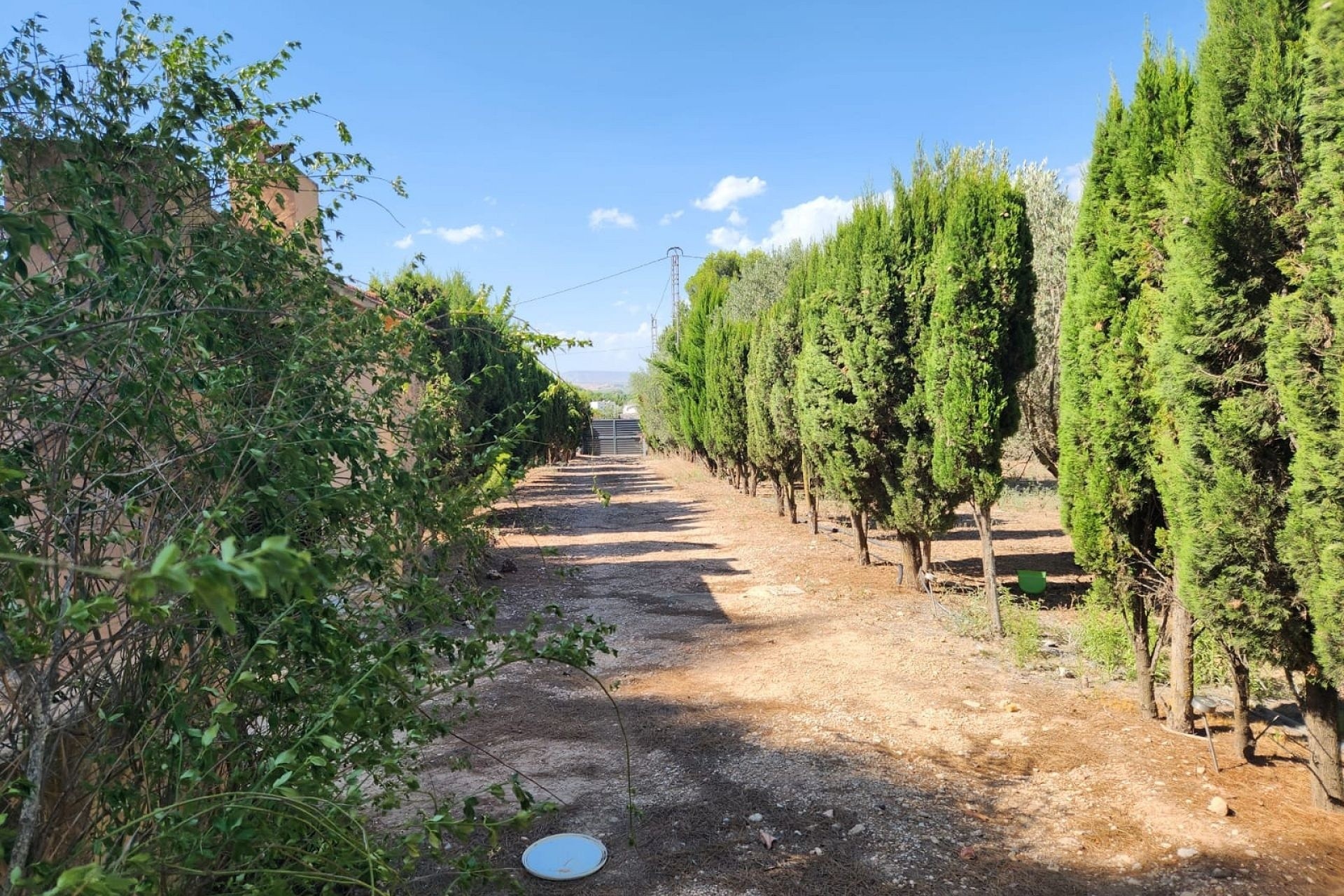 Revente - Villa Individuelle -
Villena