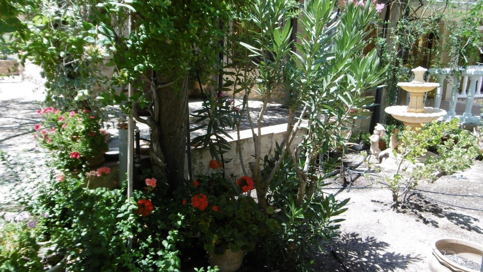 Revente - Villa Individuelle -
Yecla