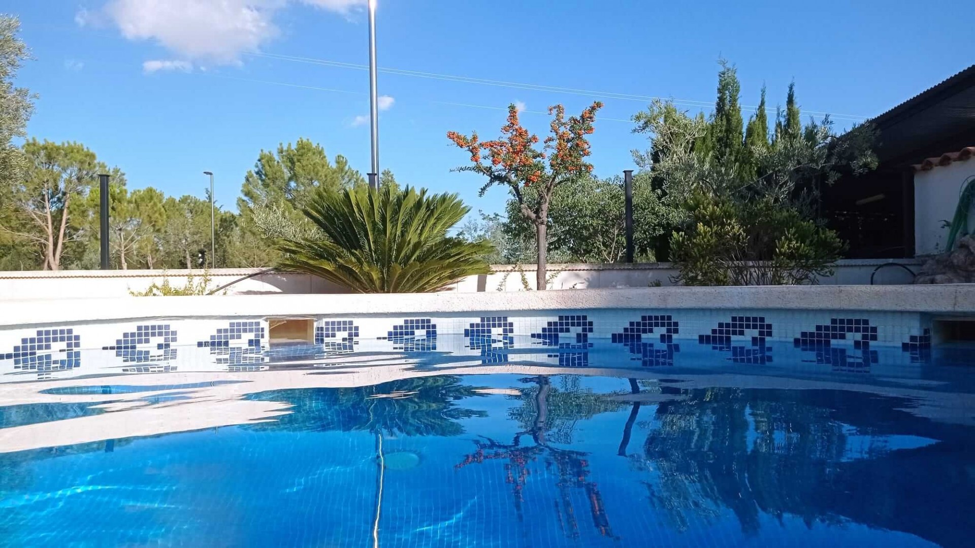 Revente - Villa Individuelle -
Yecla